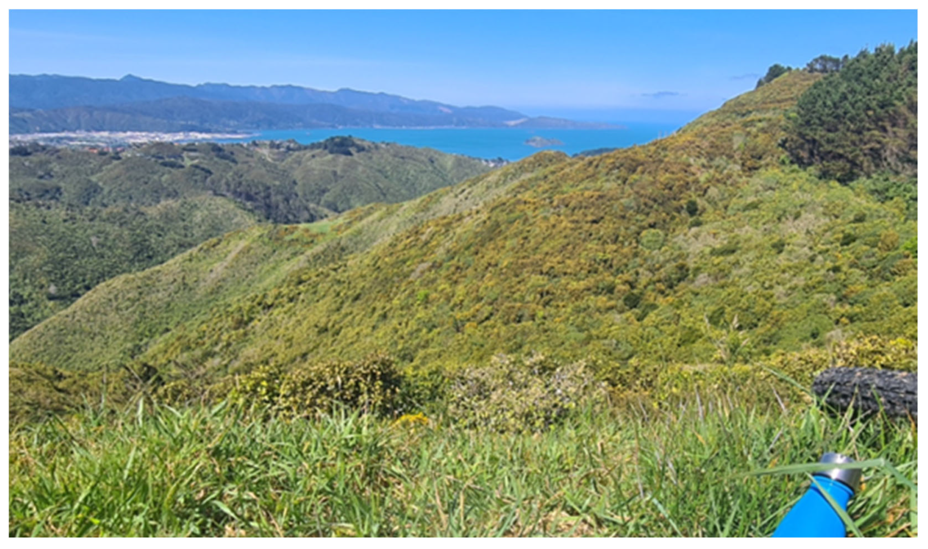 Architecture 05 00048 g007