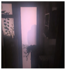 Architecture 05 00048 i002