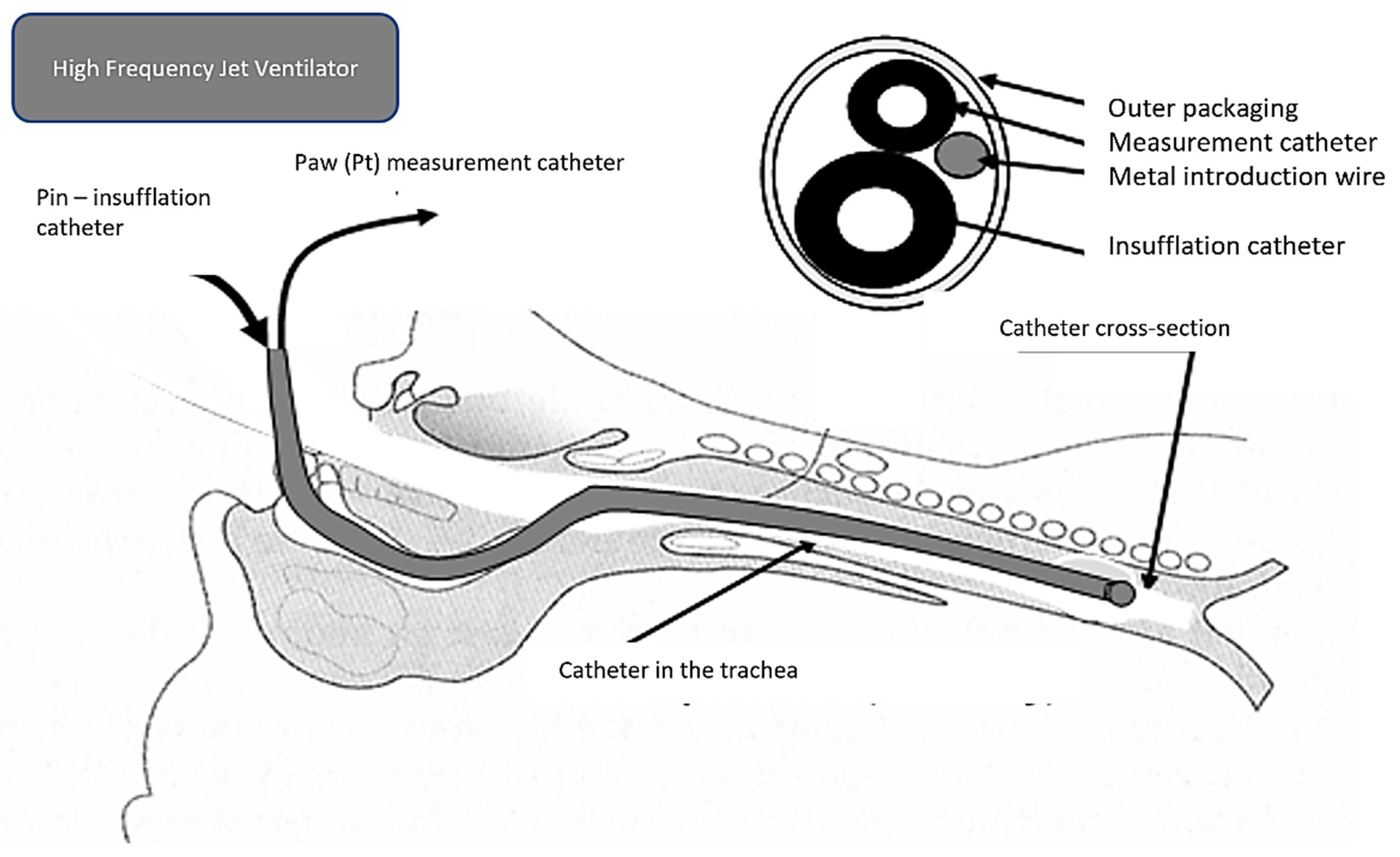 Arm 91 00022 g004 Arm 91 00022 g004