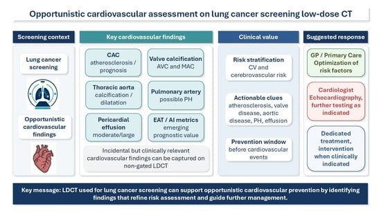 Visual grading of coronary artery calcification (CAC) on lung cancer screening low-dose computed tomography (LDCT). Axial non-contrast, non-ECG-gated images. (A) No CAC. (B) Mild CAC: focal calcification in the left anterior descending artery (arrow). (C) Severe CAC: extensive calcifications in the left anterior descending and right coronary arteries (arrows). (D) Coronary stents in the right coronary artery and left anterior descending artery (arrows).
