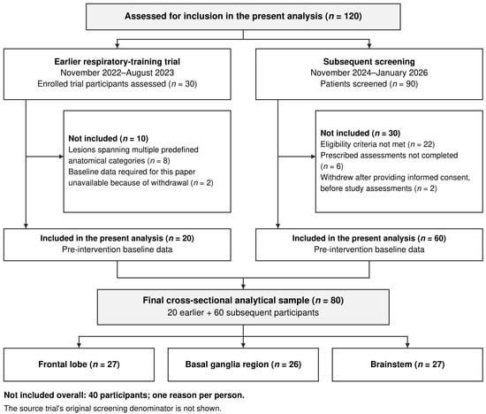 Two-stage participant selection for the exploratory cross-sectional analysis. Of 120 individuals assessed for inclusion, 30 were enrolled participants from the earlier respiratory-training trial and 90 were subsequently screened patients. Stage-specific reasons for non-inclusion are shown for 10 earlier and 30 subsequent individuals, with one reason counted per person. The earlier trial’s original screening denominator is not shown. Lesion-based non-inclusion in this analysis does not indicate withdrawal from the source trial. Two patients withdrew consent after providing informed consent but before study assessments. The final 80 participants comprised frontal lobe (n = 27), basal ganglia region (n = 26), and brainstem (n = 27) categories; these were anatomical groups, not randomized treatment arms.