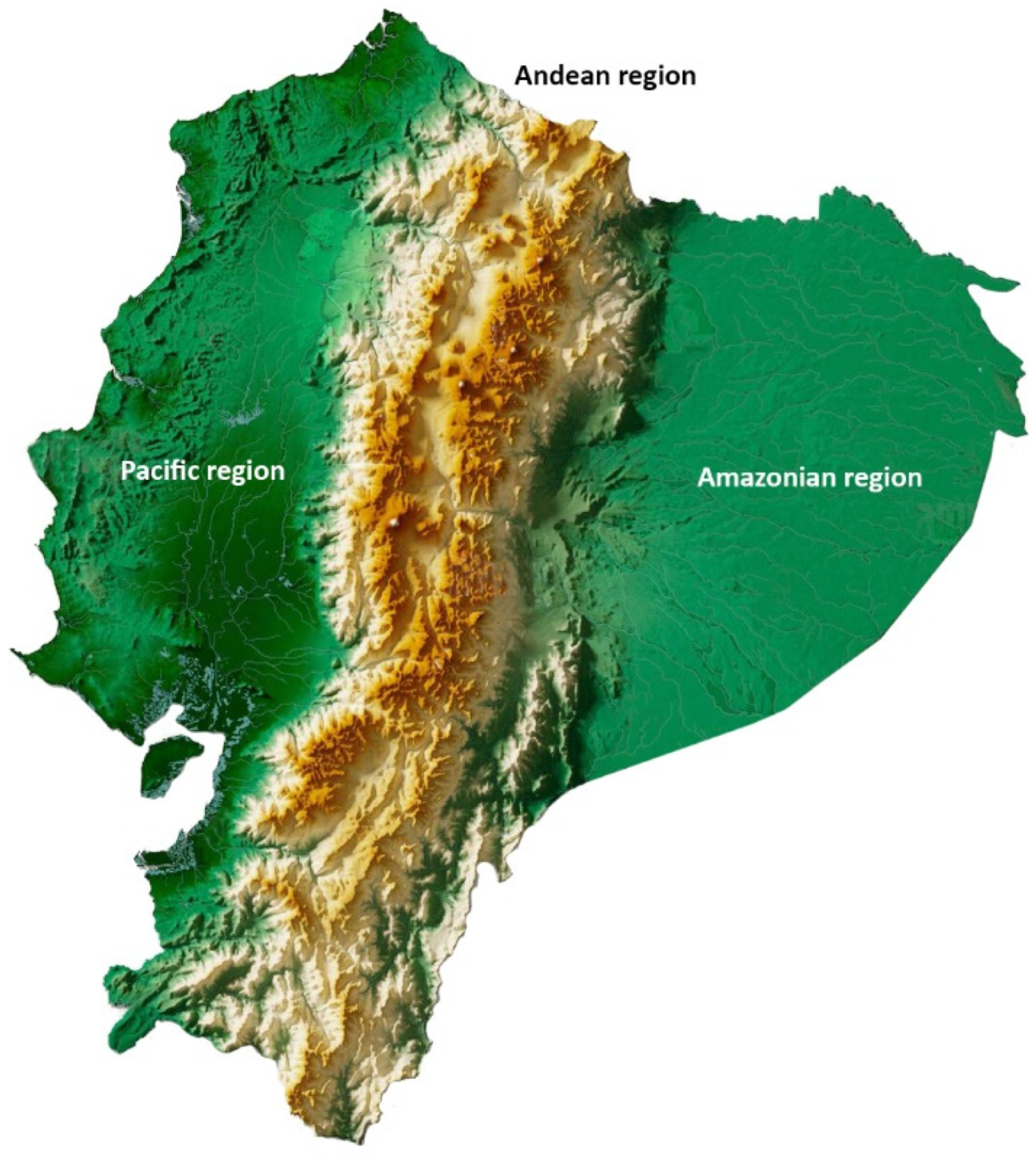 Arthropoda 01 00010 sch001
