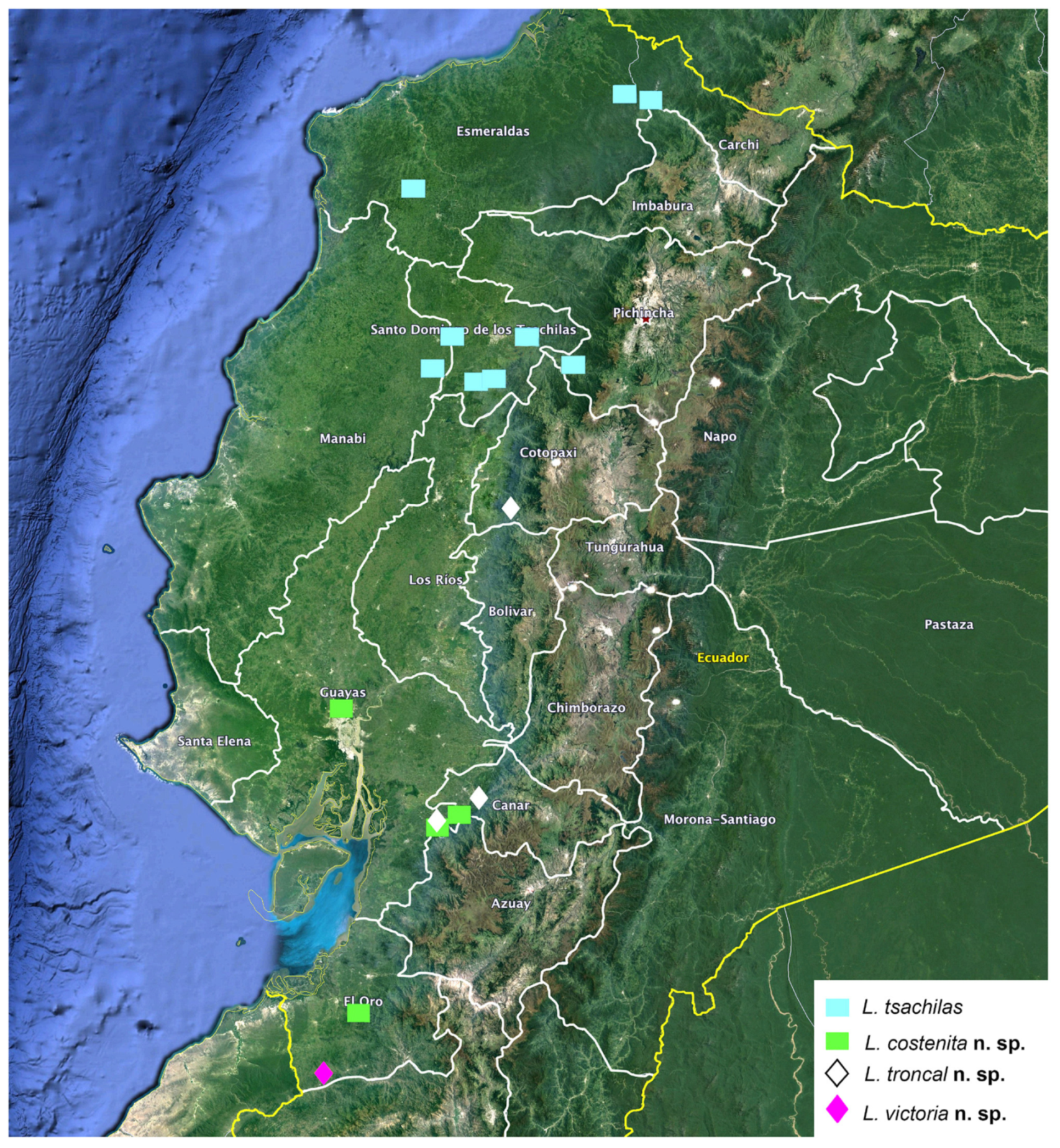 Arthropoda 01 00010 sch002