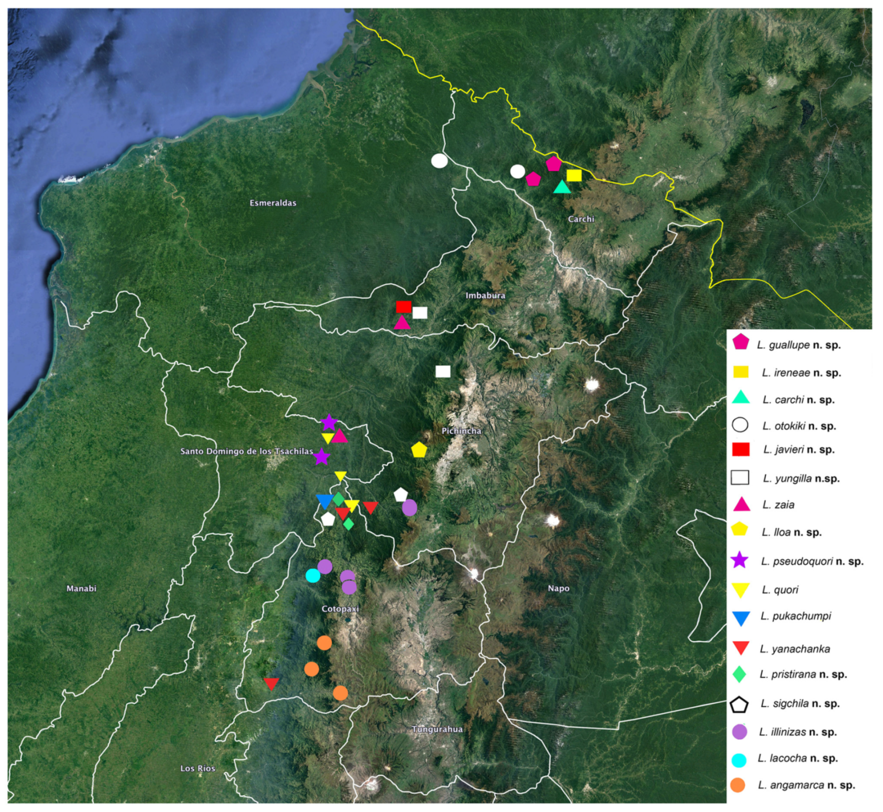 Arthropoda 01 00010 sch003