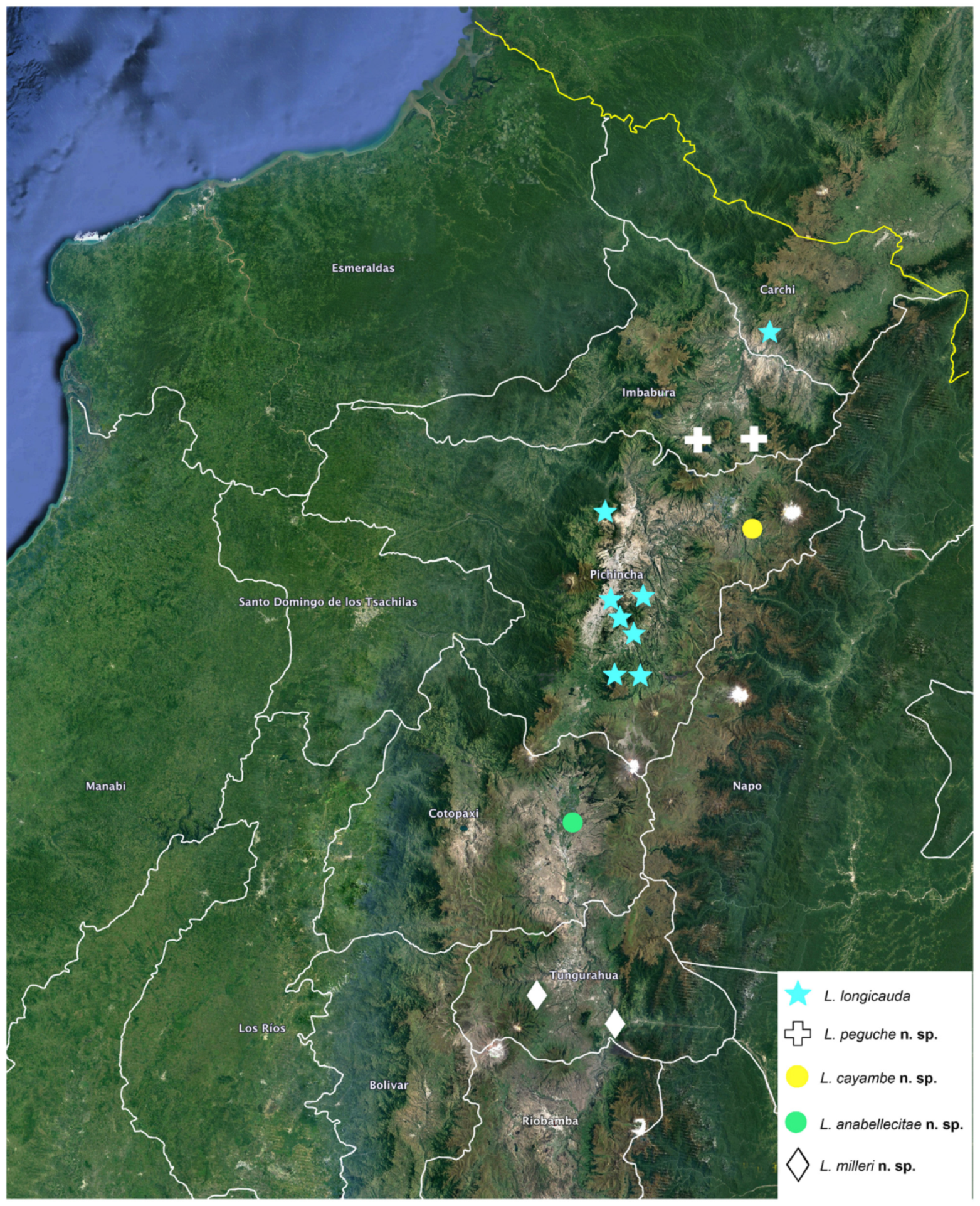 Arthropoda 01 00010 sch005
