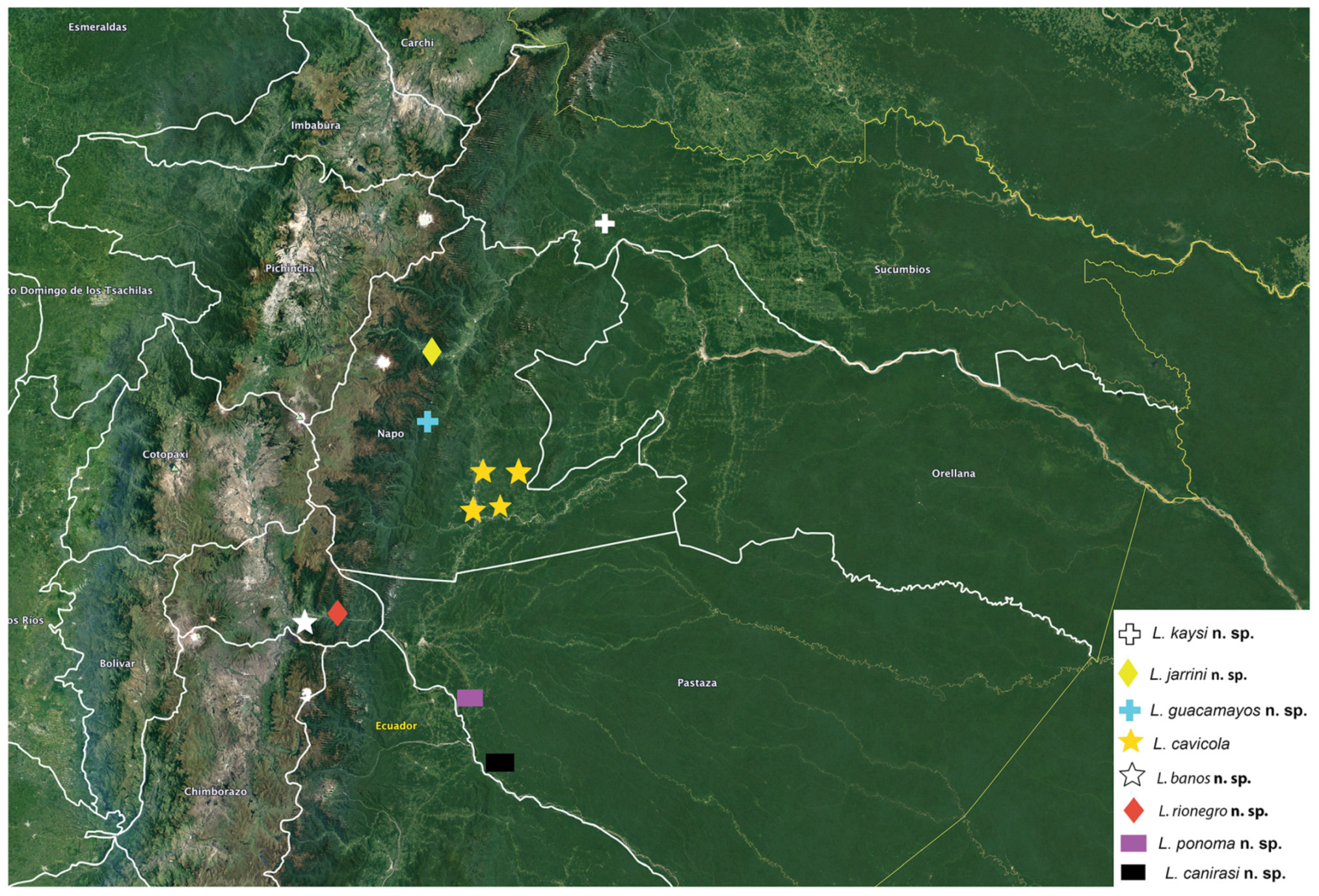 Arthropoda 01 00010 sch007