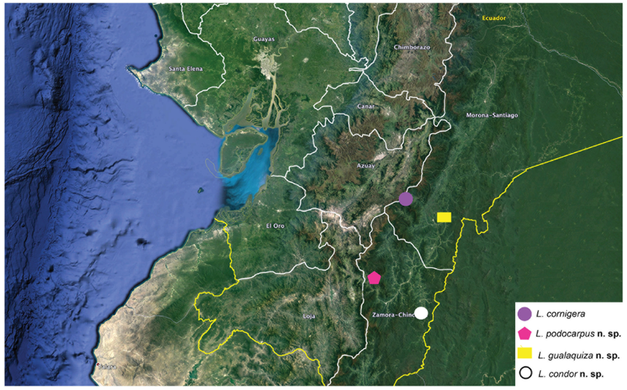 Arthropoda 01 00010 sch008