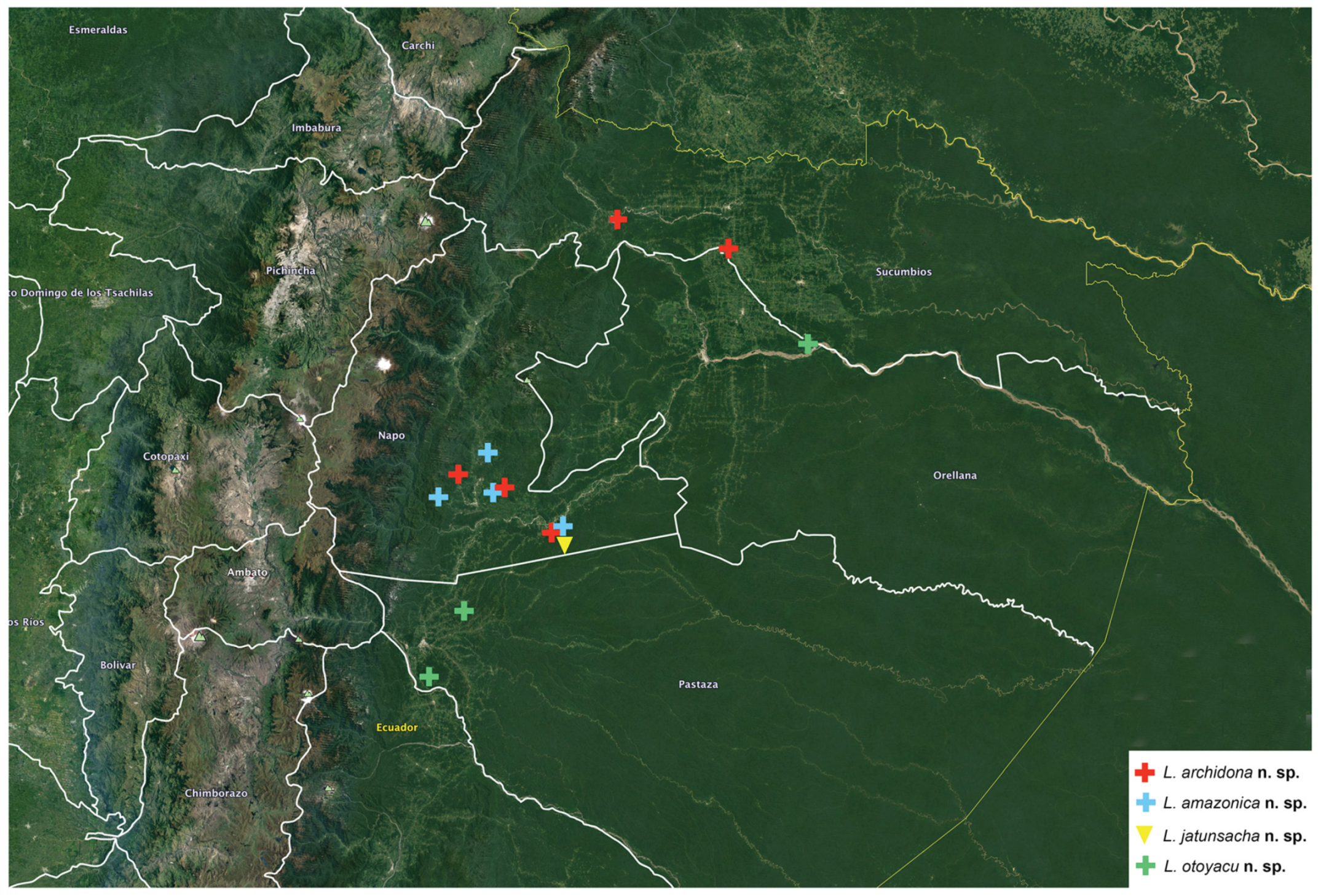 Arthropoda 01 00010 sch009