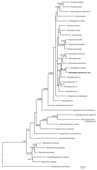 Arthropoda 01 00012 g004