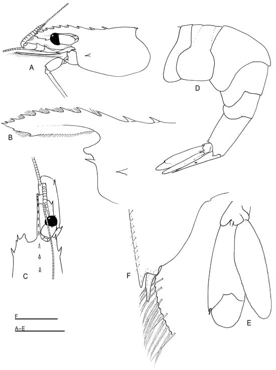 Arthropoda 01 00018 g001