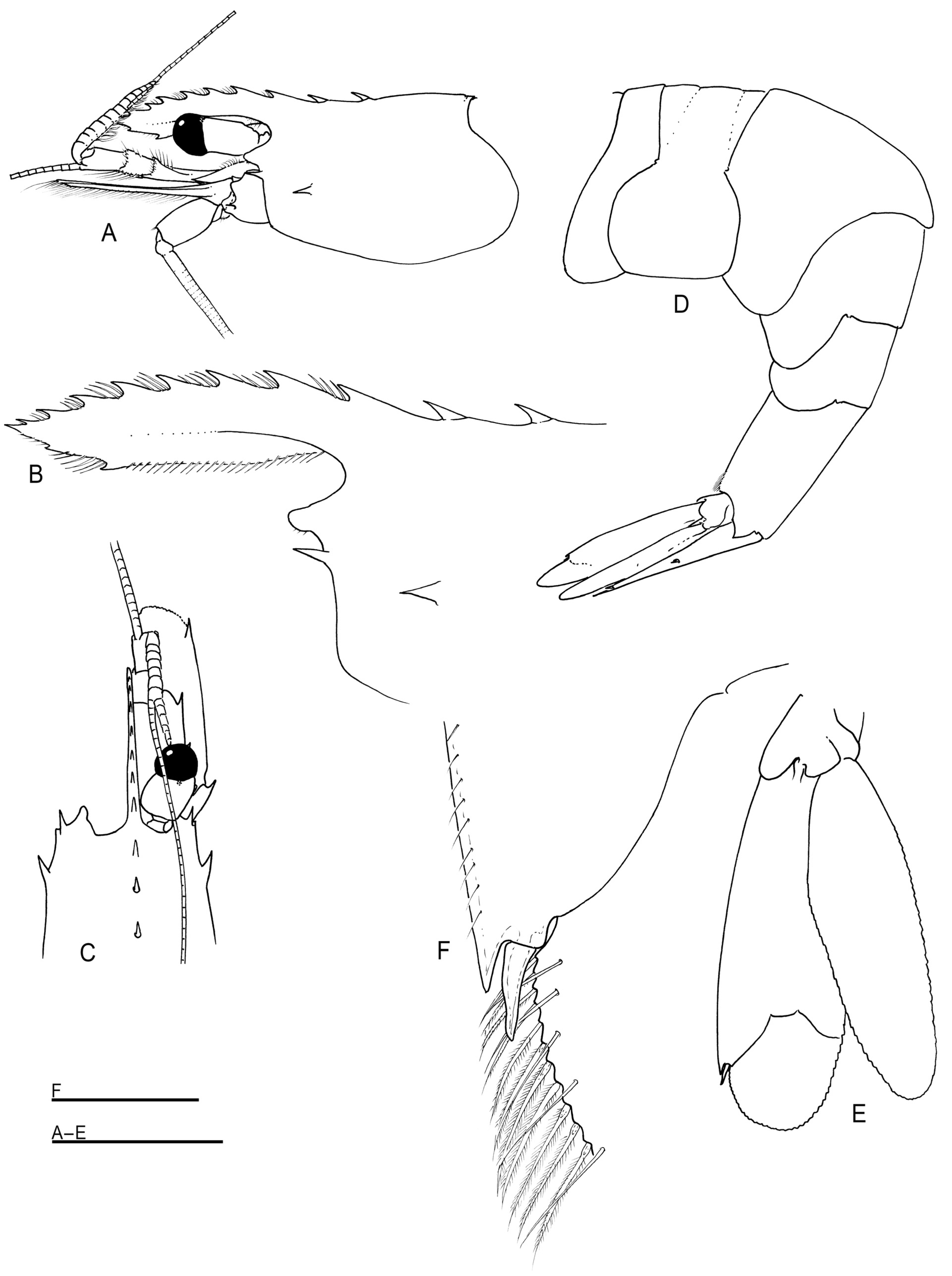 Arthropoda 01 00018 g001
