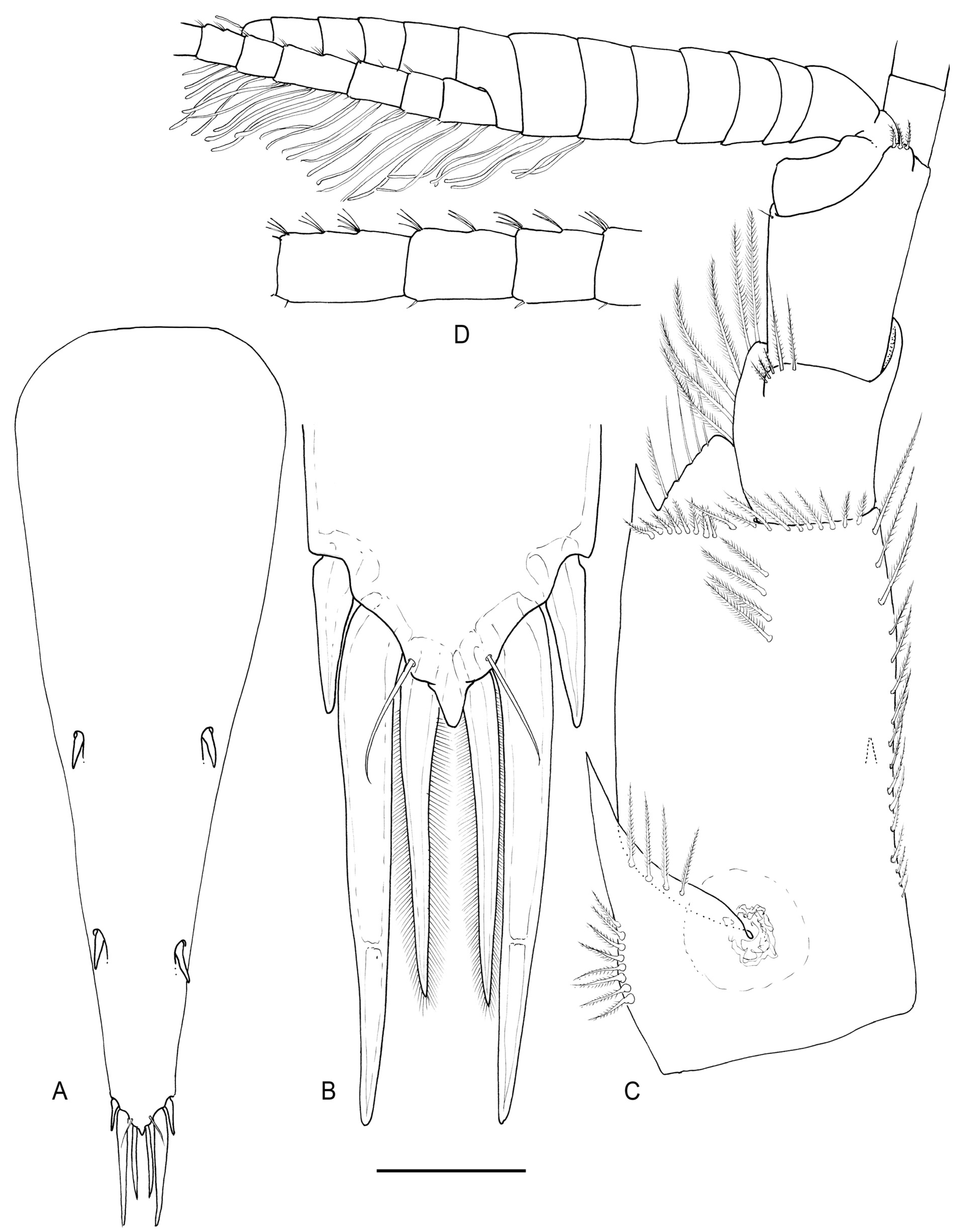 Arthropoda 01 00018 g002