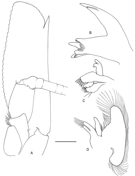 Arthropoda 01 00018 g003