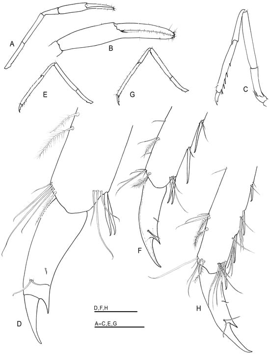 Arthropoda 01 00018 g005