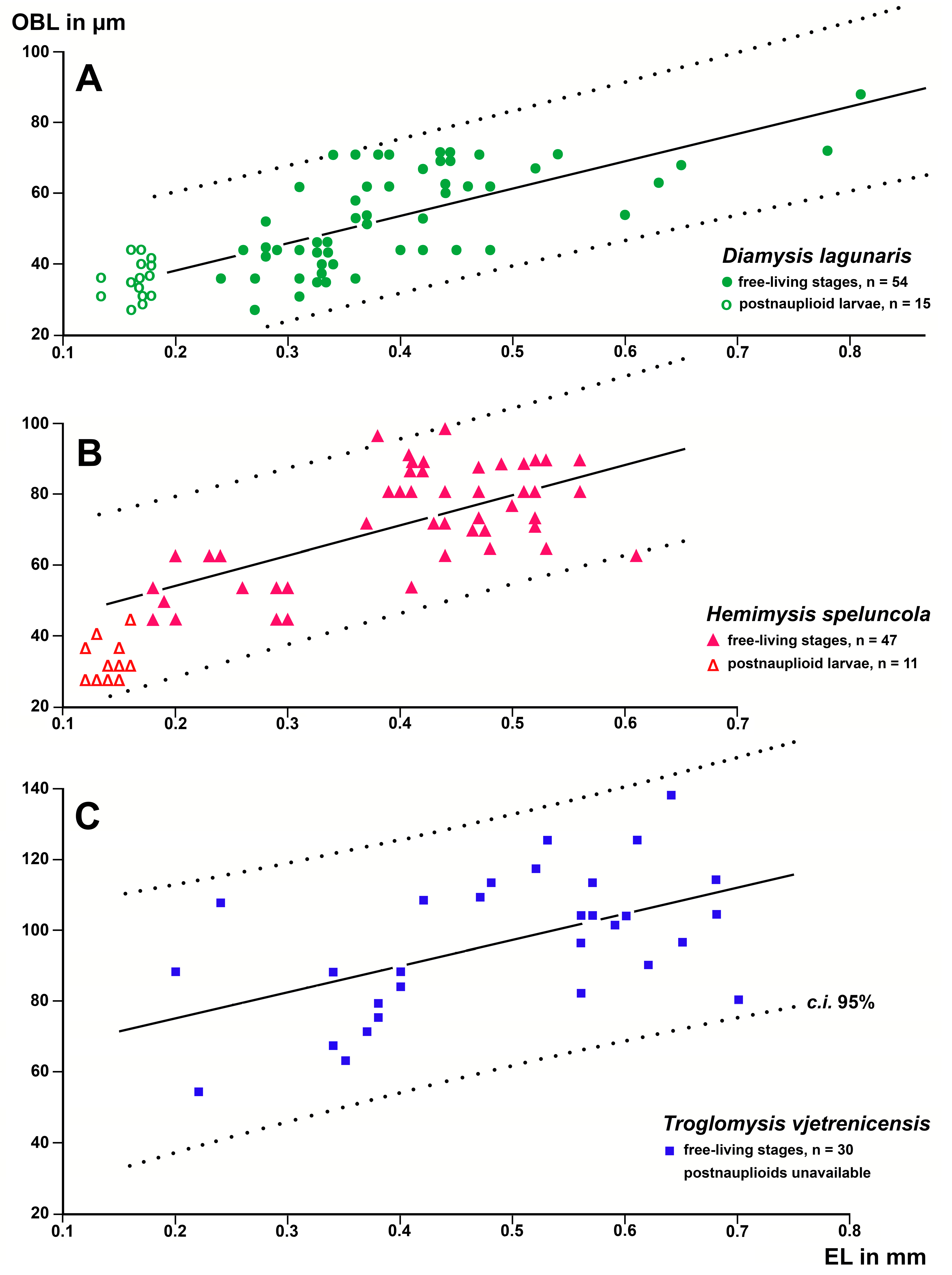 Arthropoda 01 00019 g004