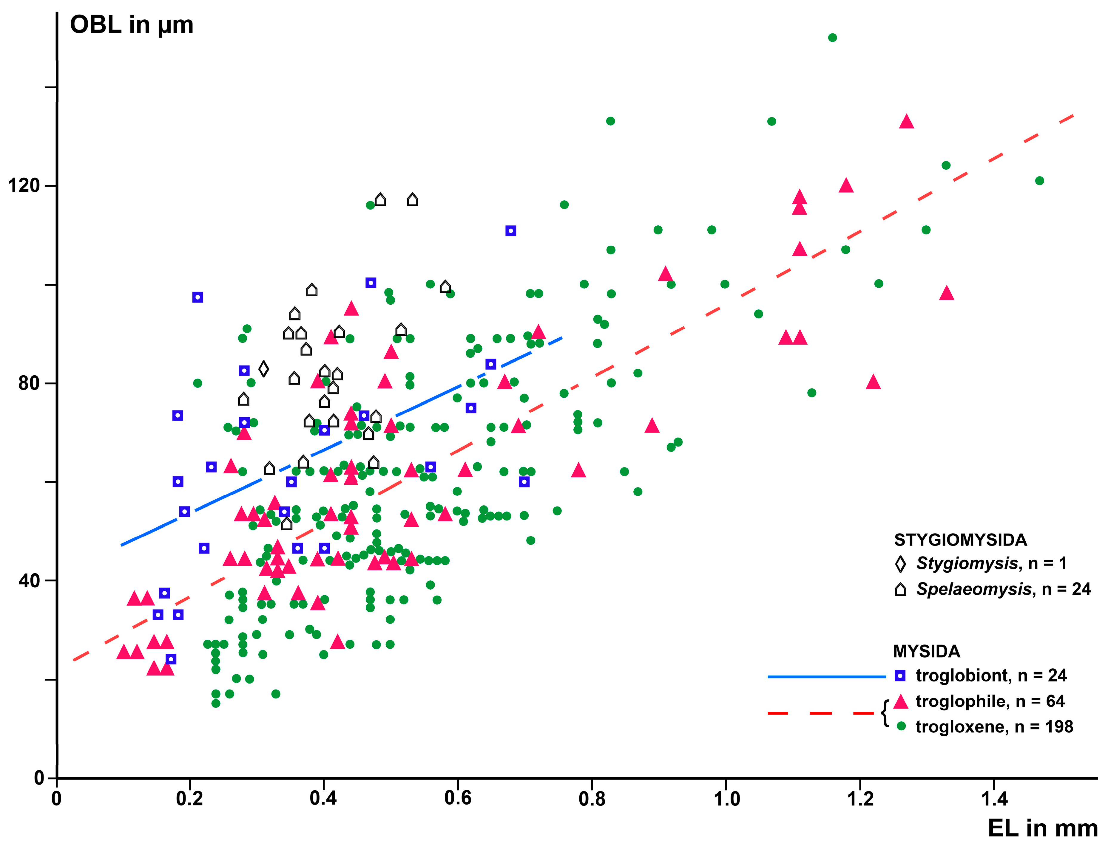 Arthropoda 01 00019 g006