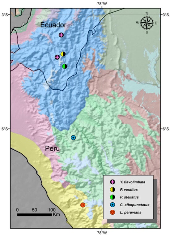 Arthropoda 01 00021 g005