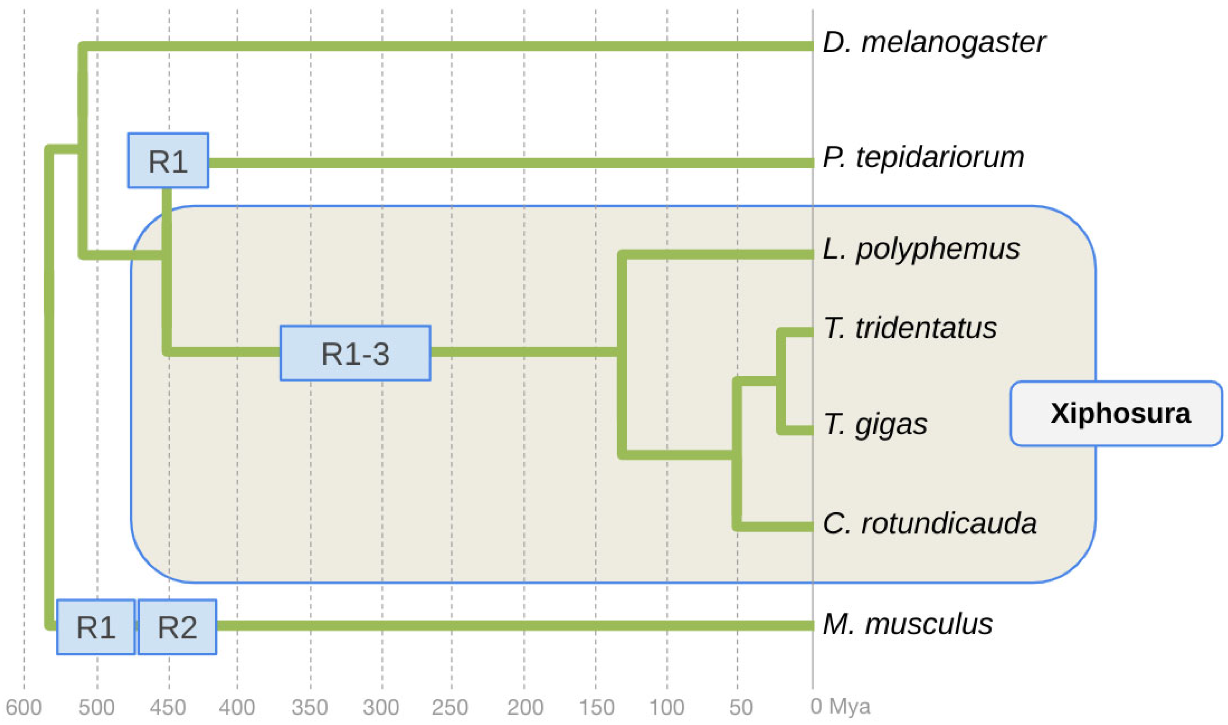 Arthropoda 02 00007 g001
