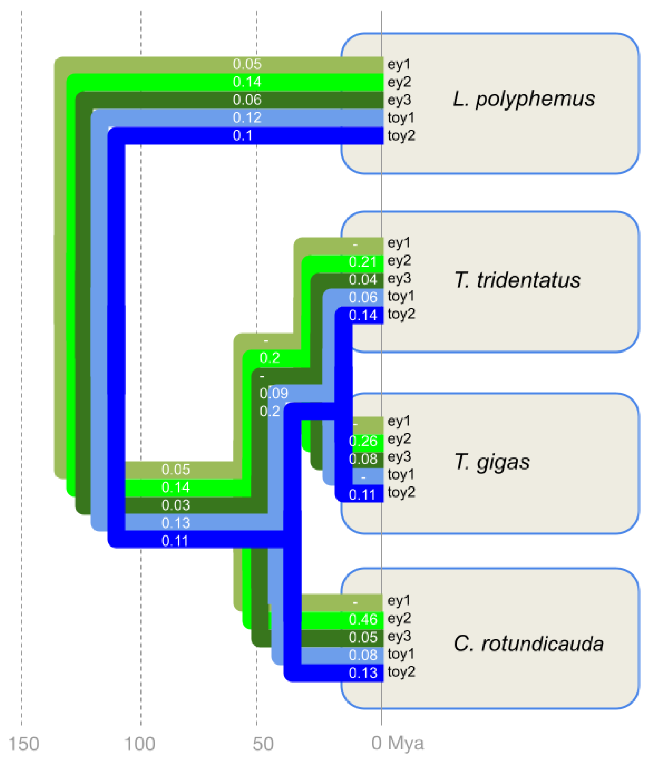 Arthropoda 02 00007 g003