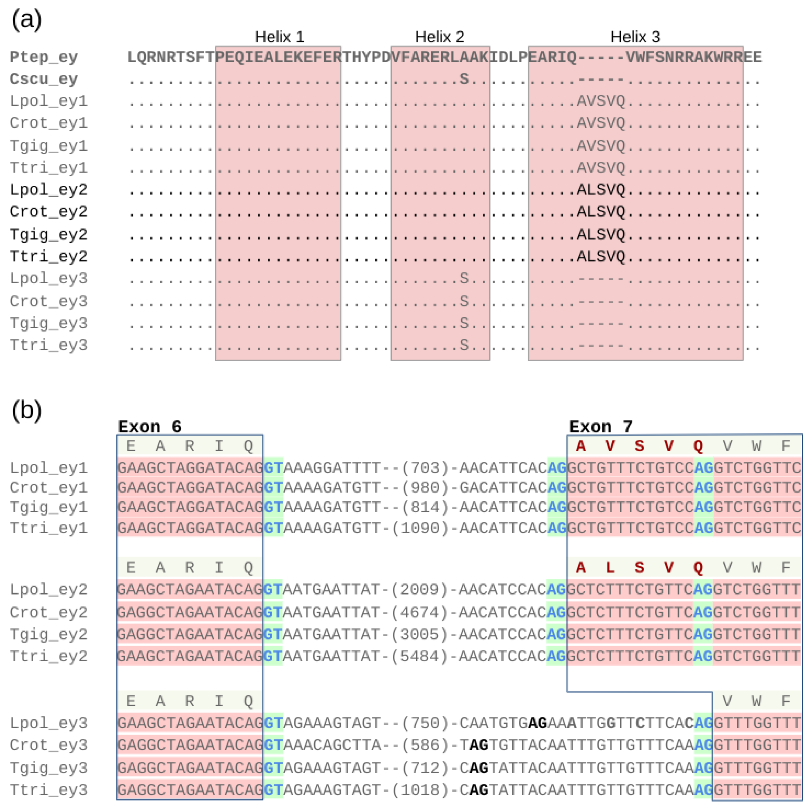 Arthropoda 02 00007 g005