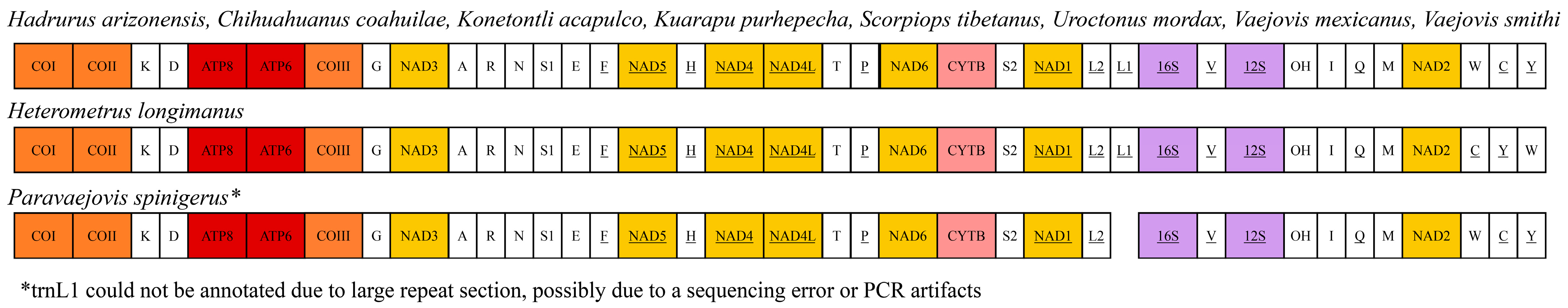 Arthropoda 02 00009 g002