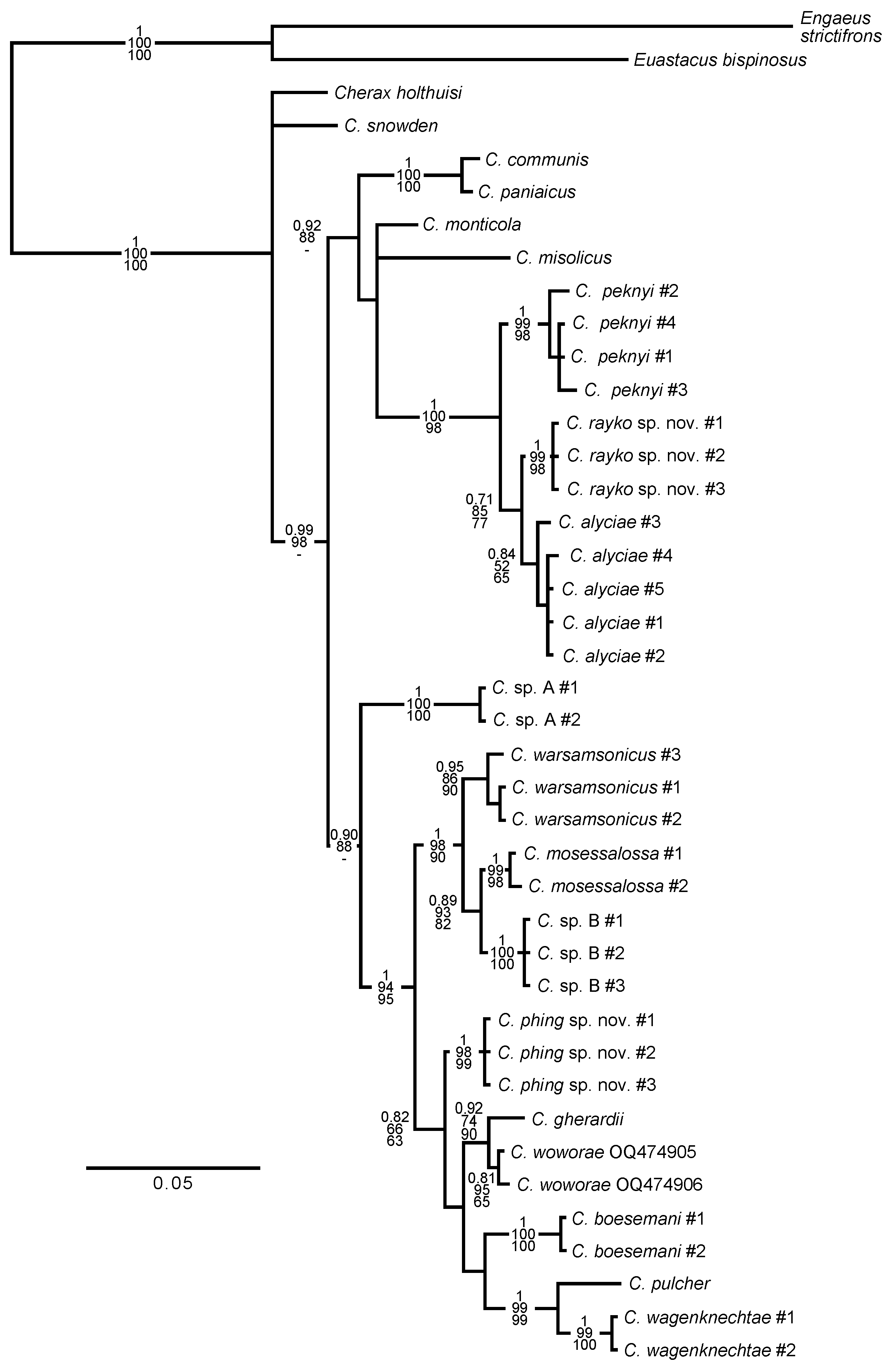 Arthropoda 02 00019 g006