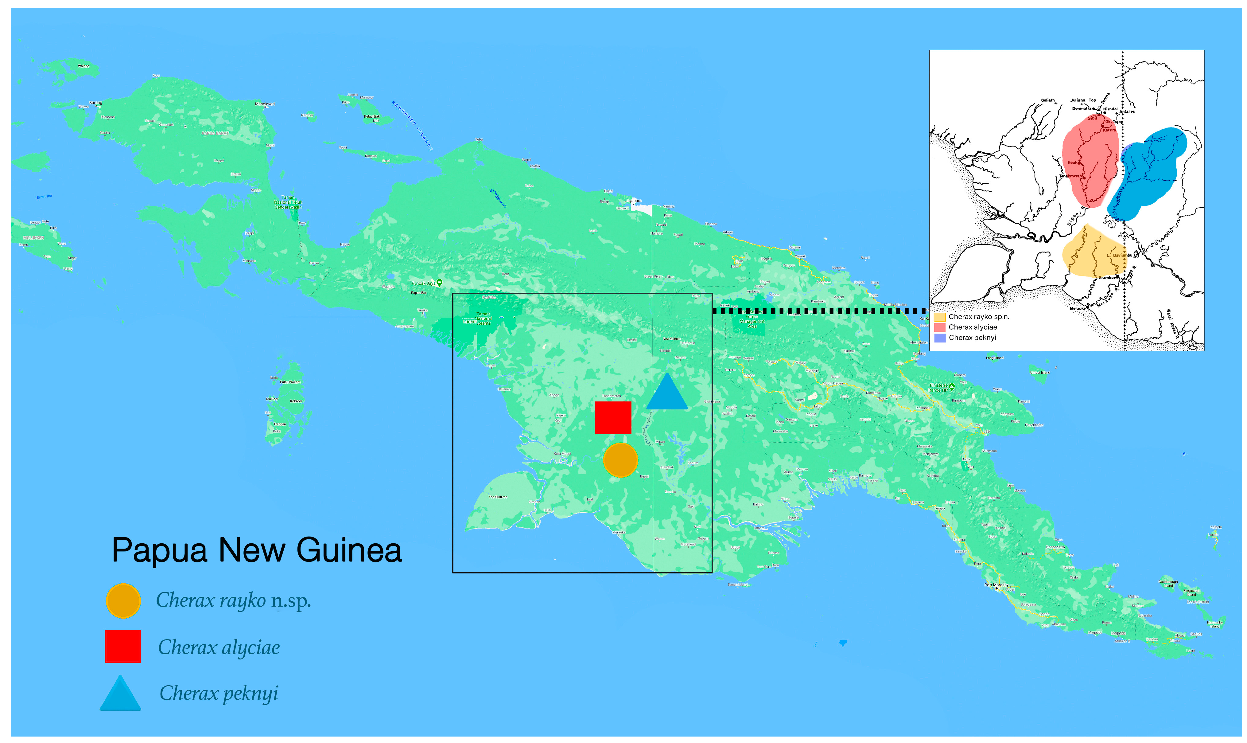 Arthropoda 02 00019 g010