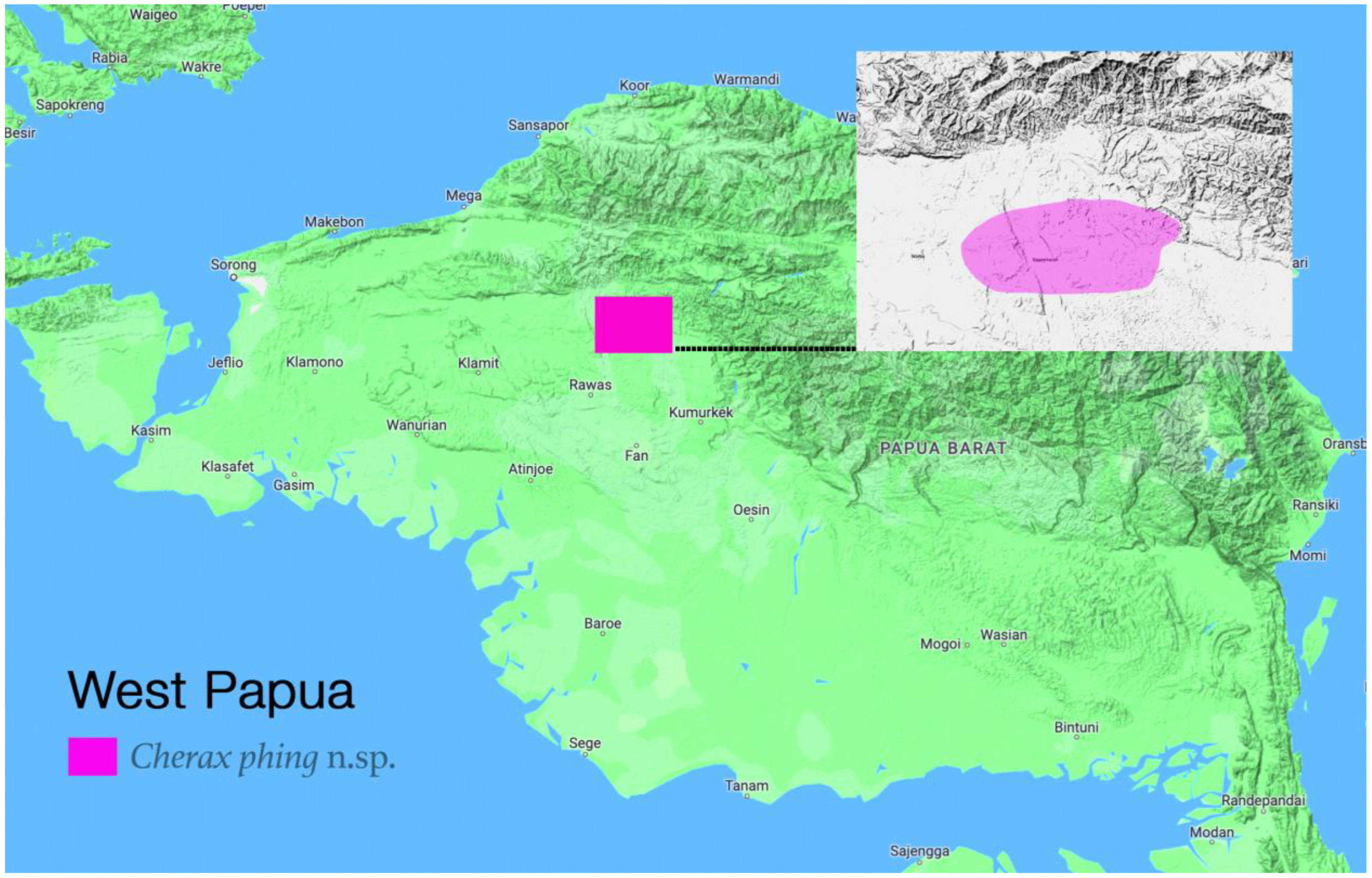 Arthropoda 02 00019 g018