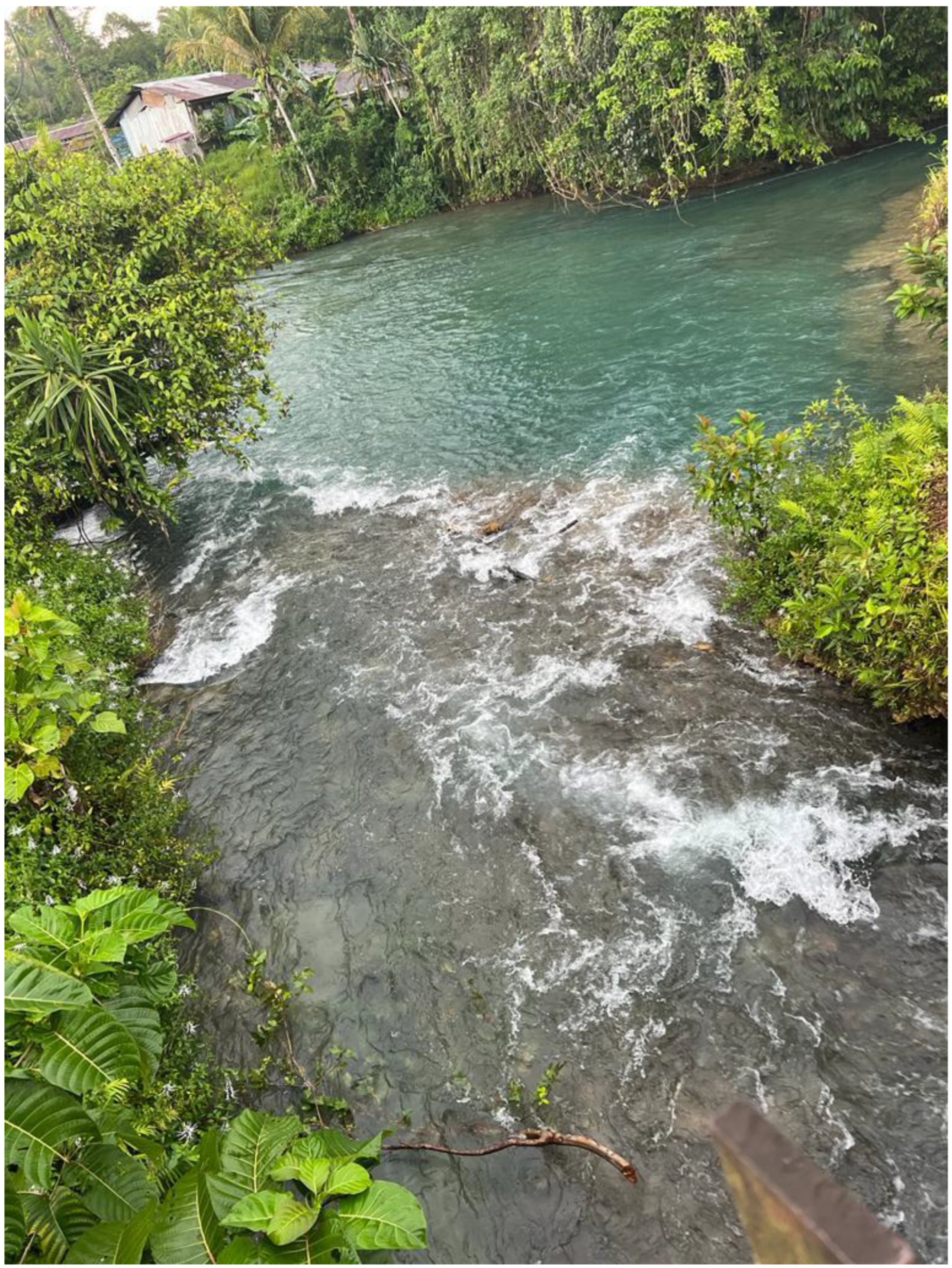 Arthropoda 02 00019 g019