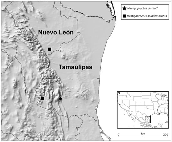 Arthropoda 03 00002 g001