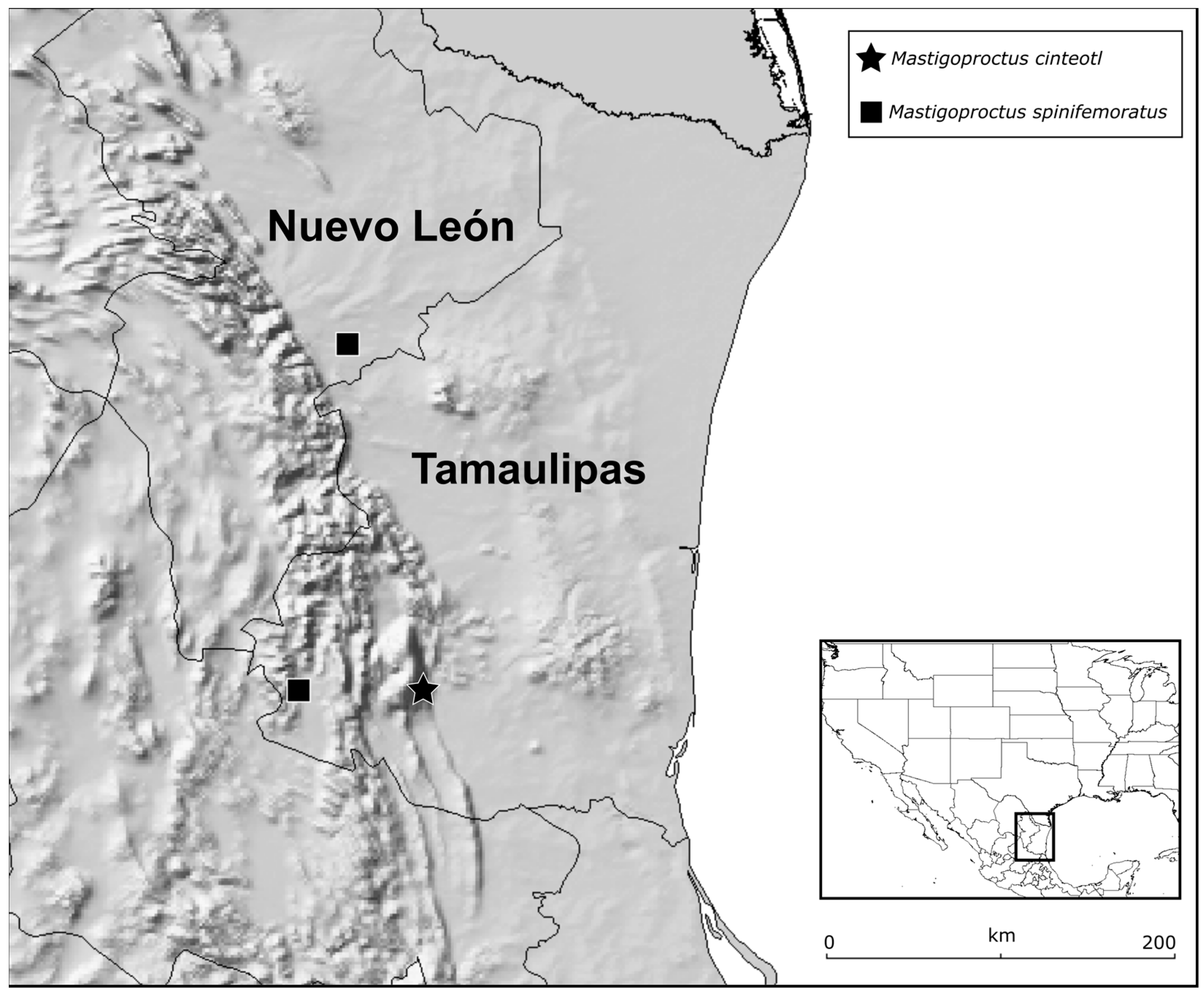 Arthropoda 03 00002 g001 Arthropoda 03 00002 g001