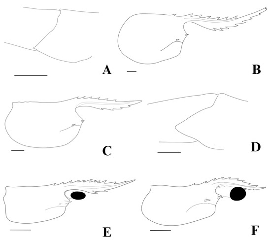 Arthropoda 03 00004 g008