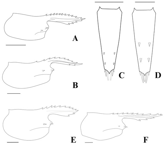 Arthropoda 03 00004 g009