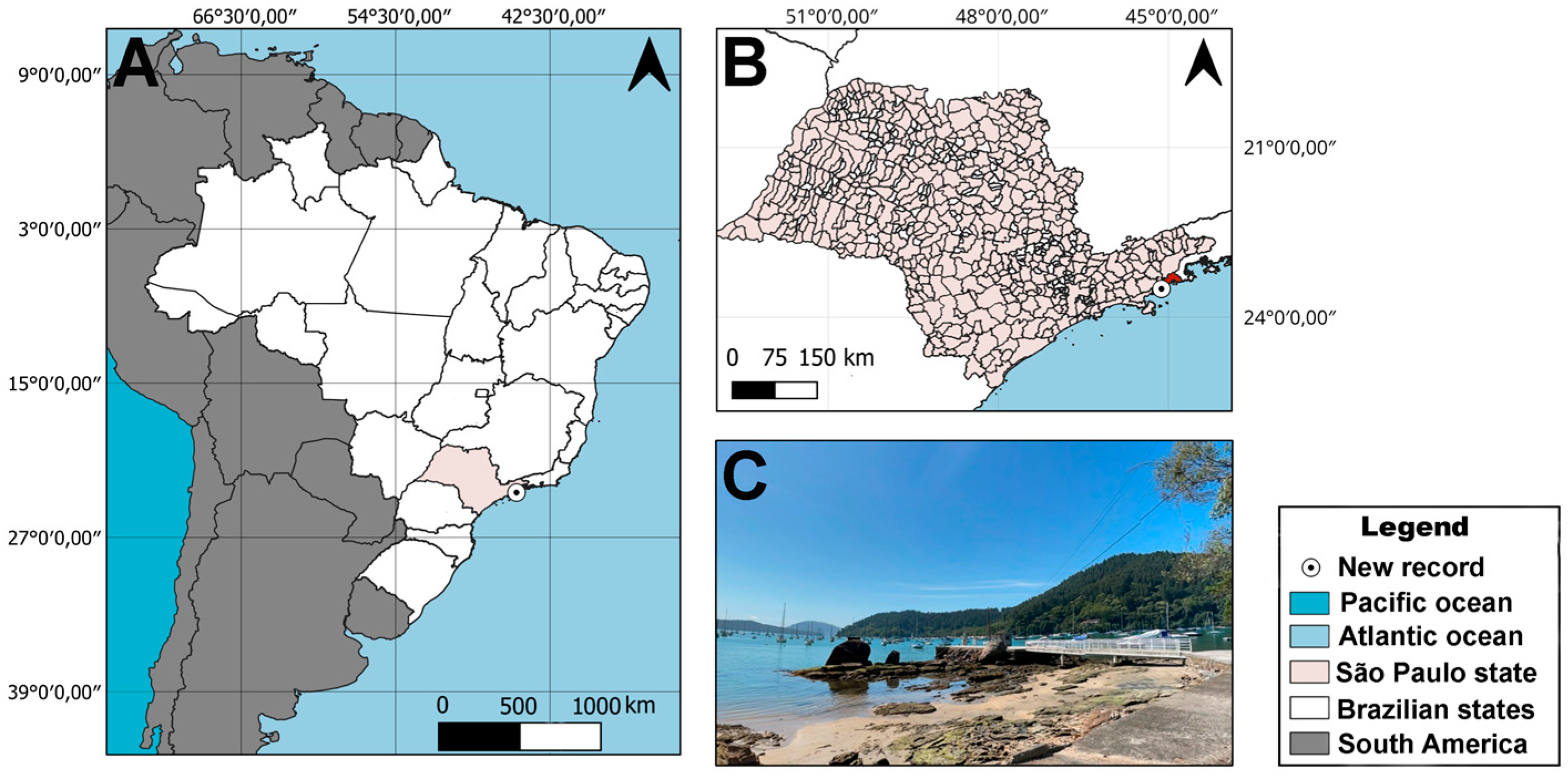 Arthropoda 03 00005 g001