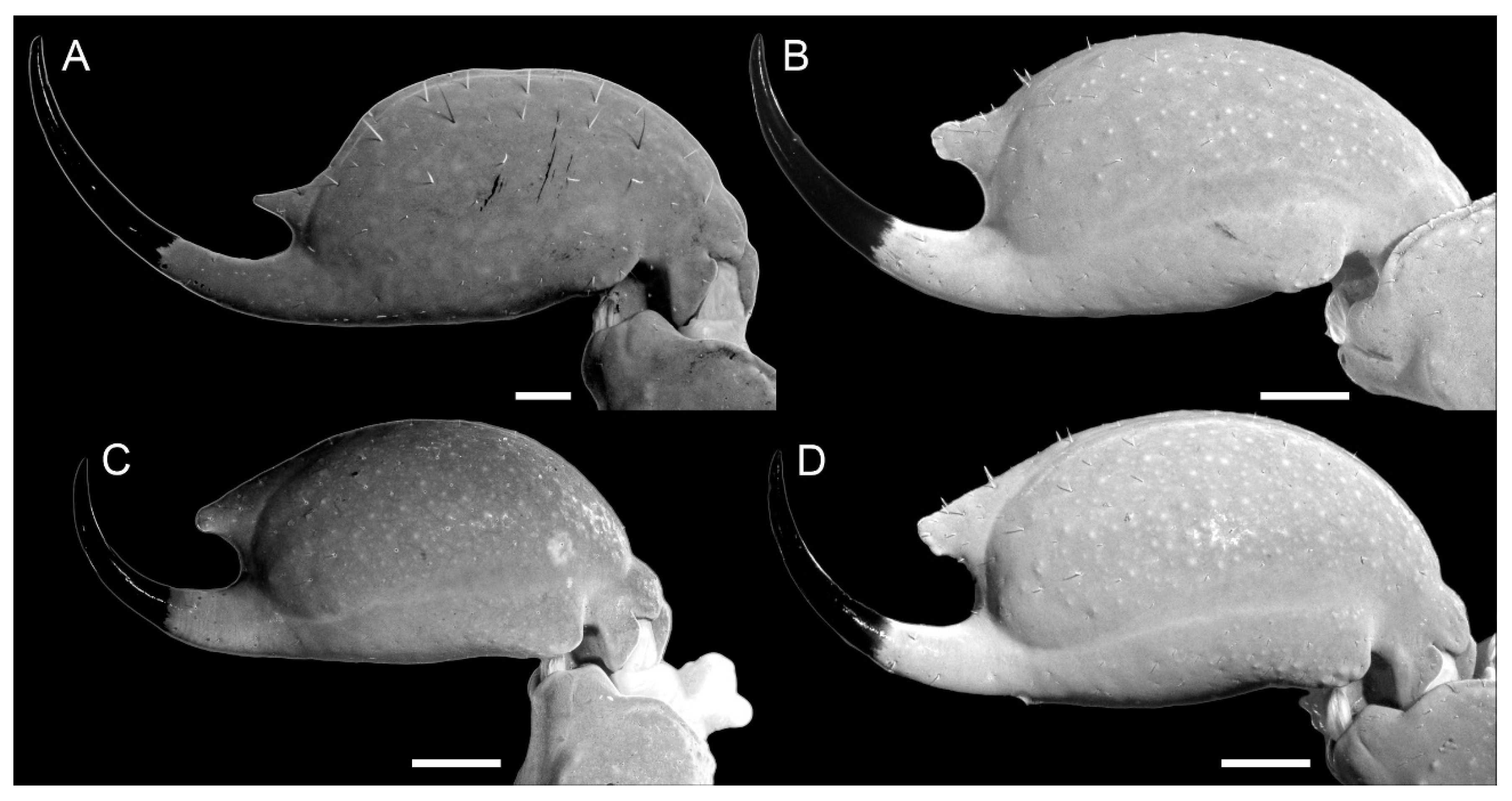 Arthropoda 03 00006 g007