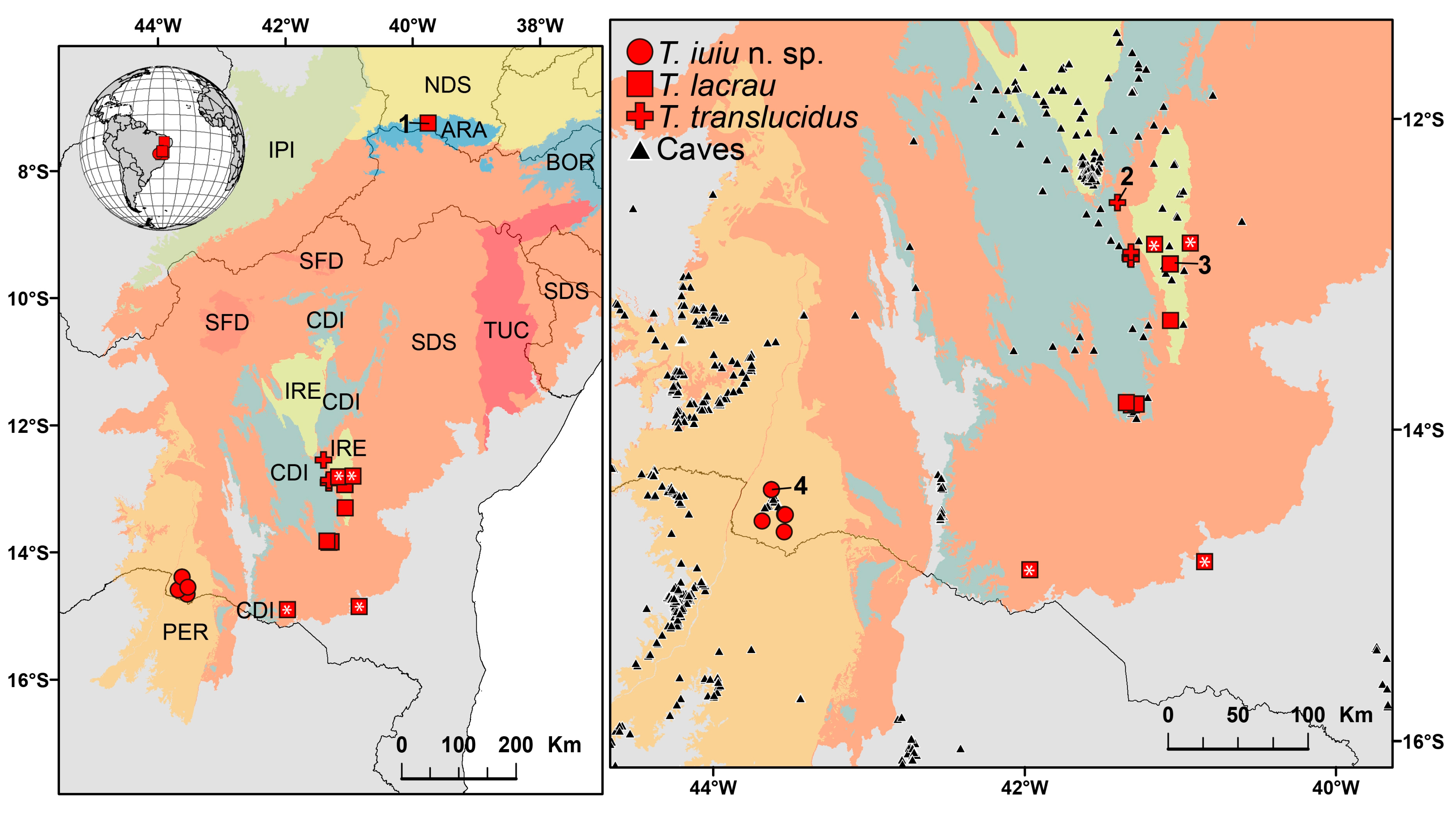 Arthropoda 03 00006 g017