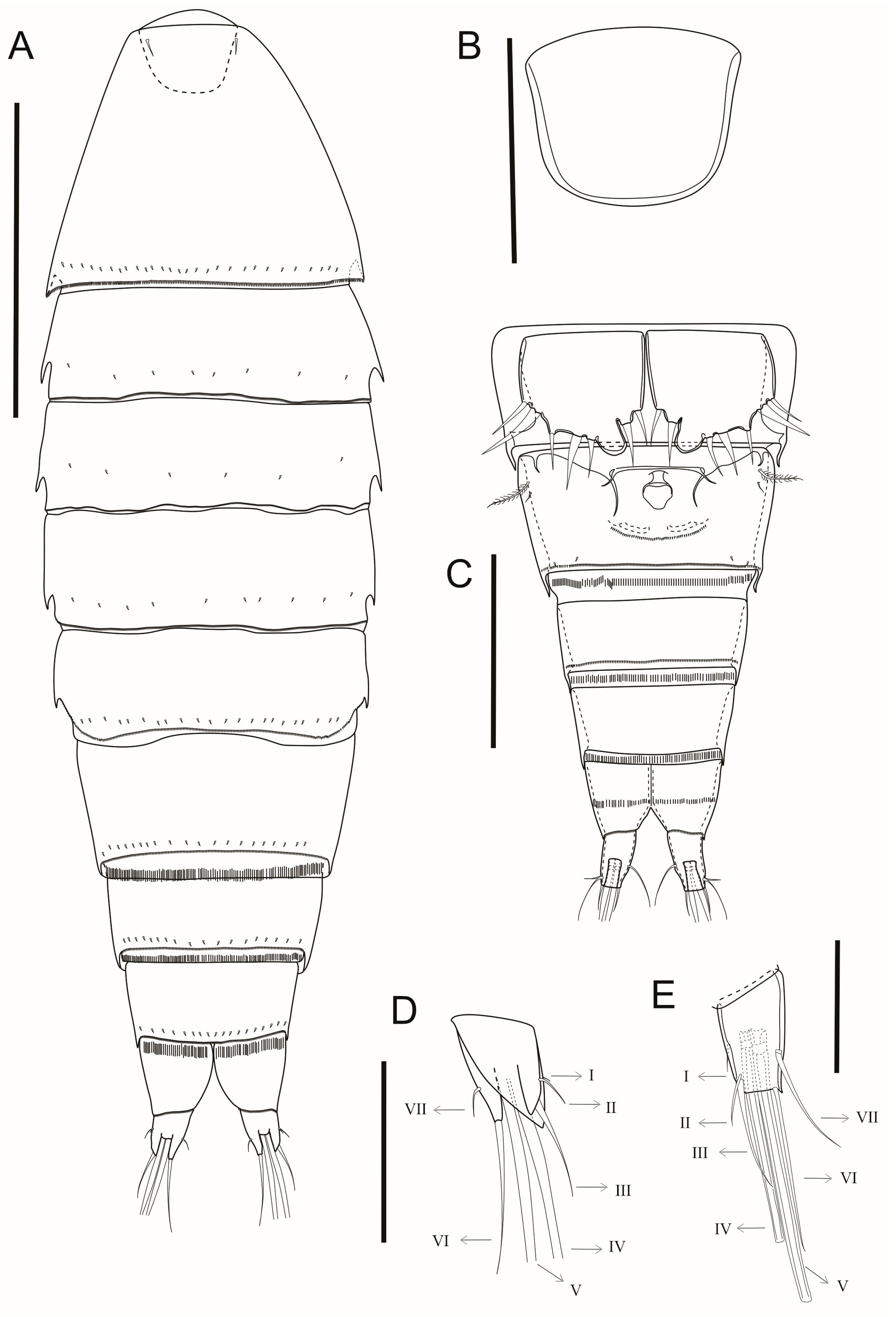 Arthropoda 03 00008 g002