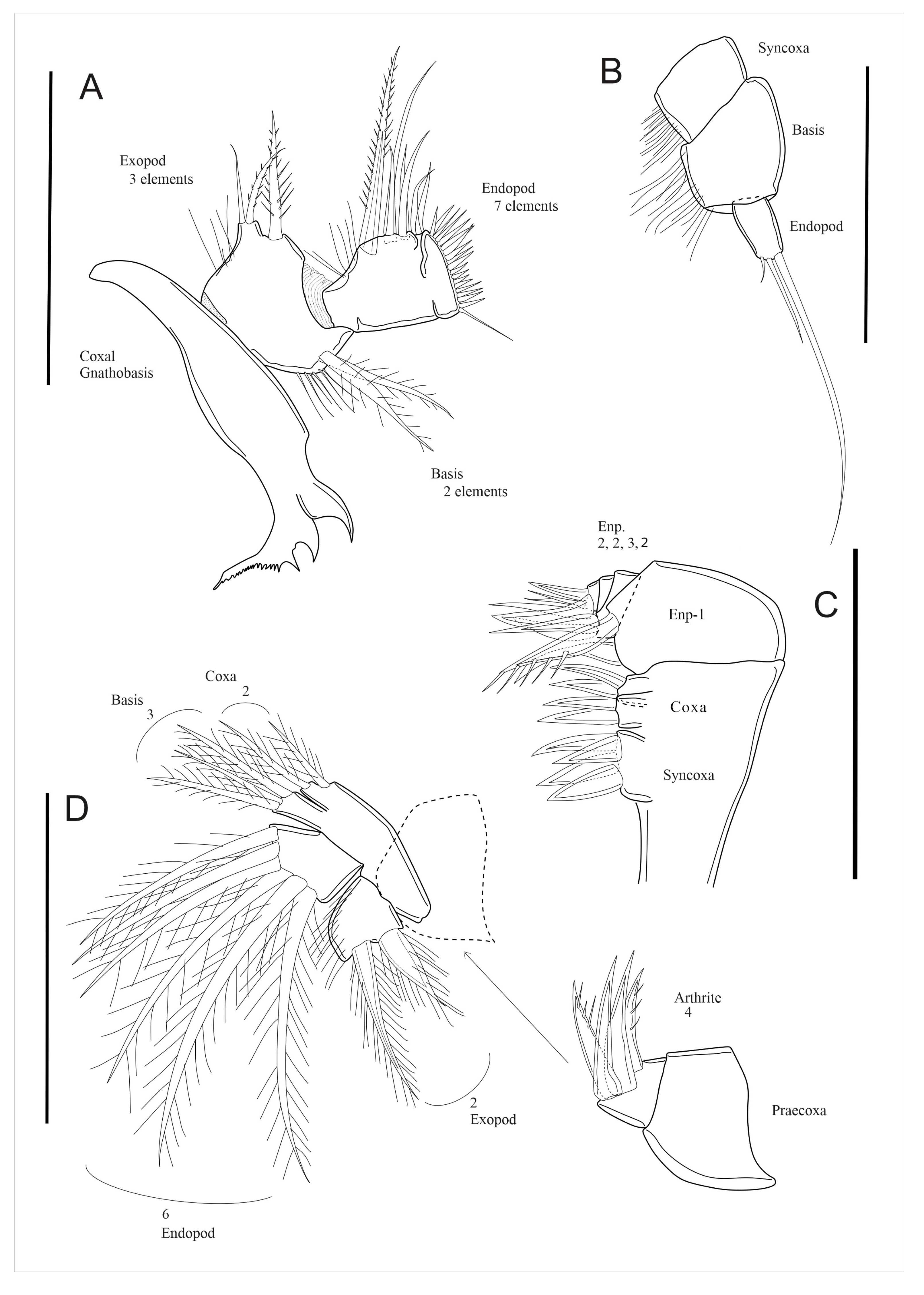Arthropoda 03 00008 g007