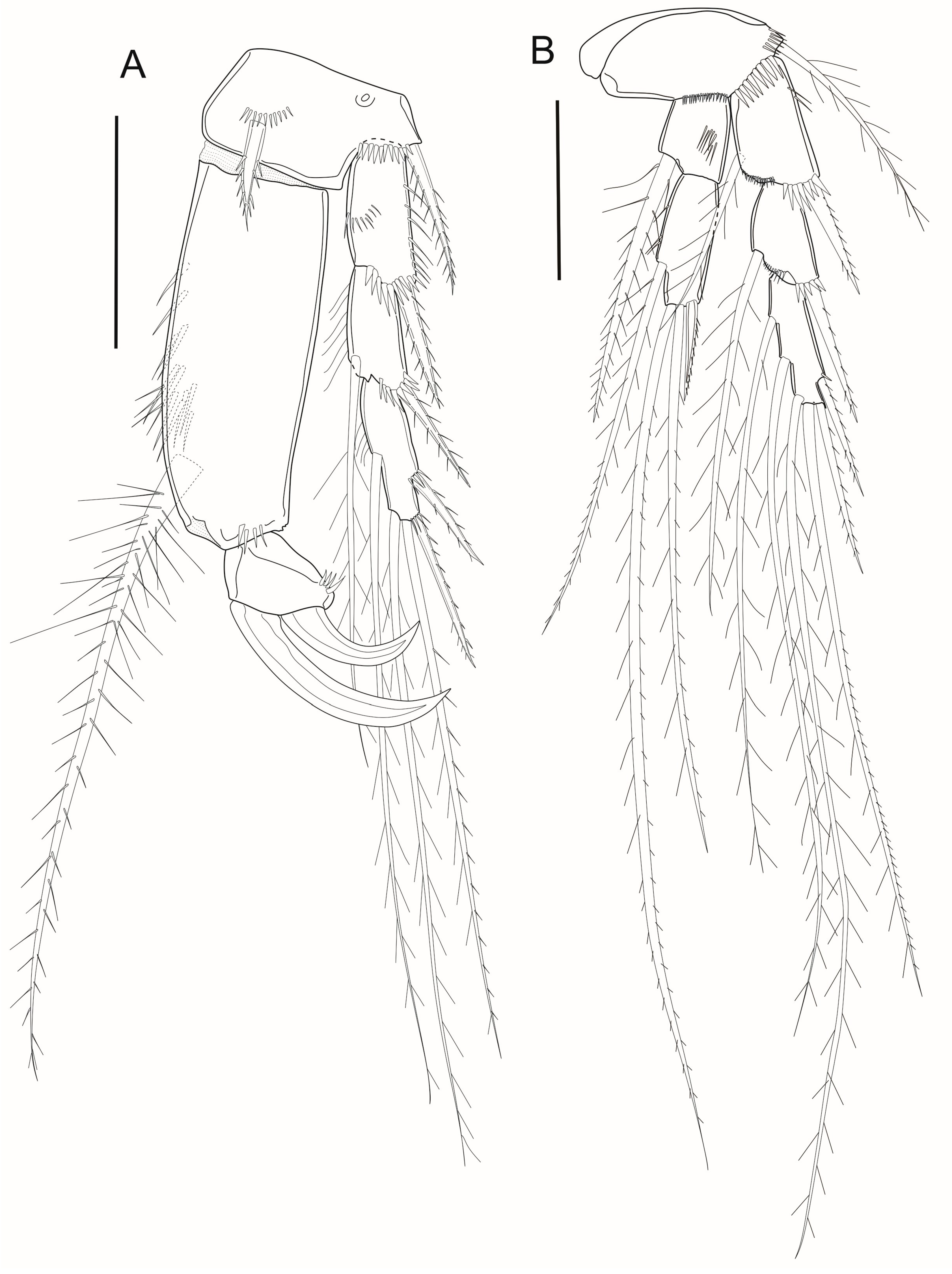 Arthropoda 03 00008 g008