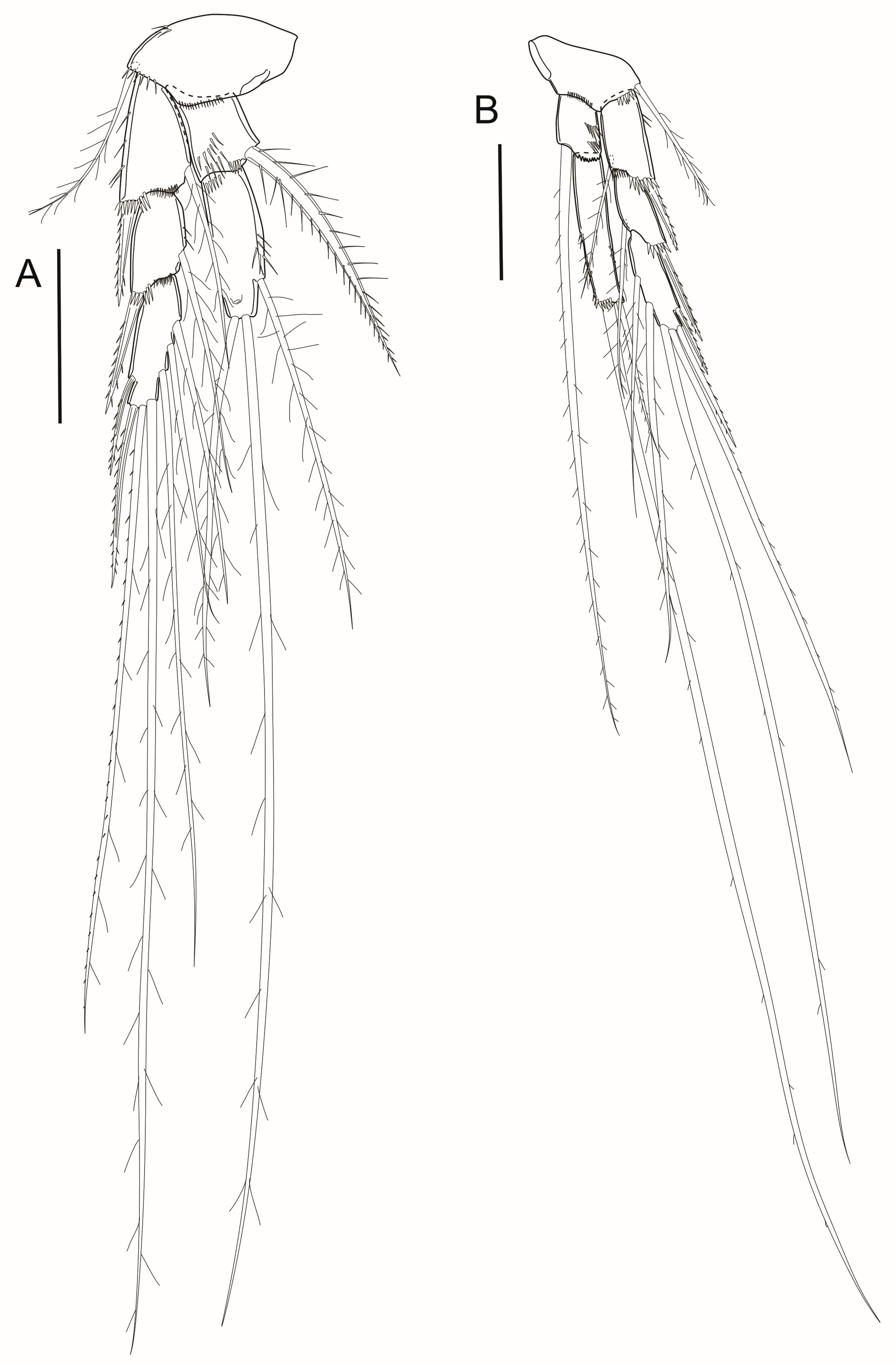 Arthropoda 03 00008 g009
