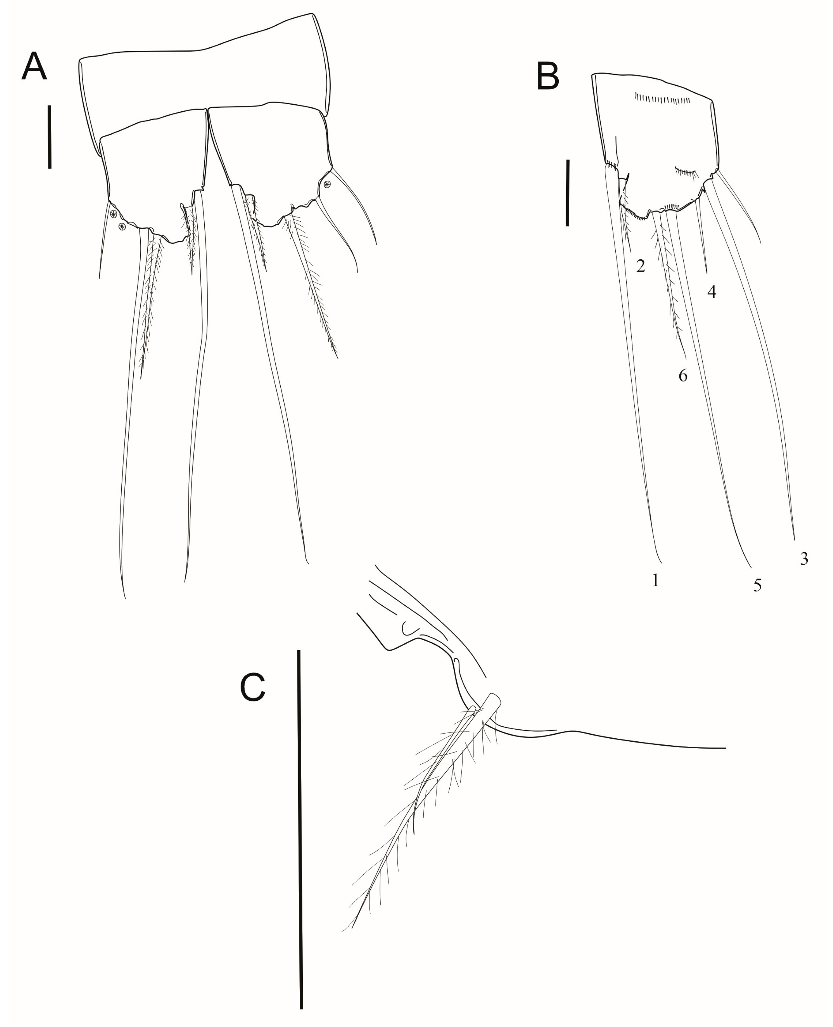 Arthropoda 03 00008 g010