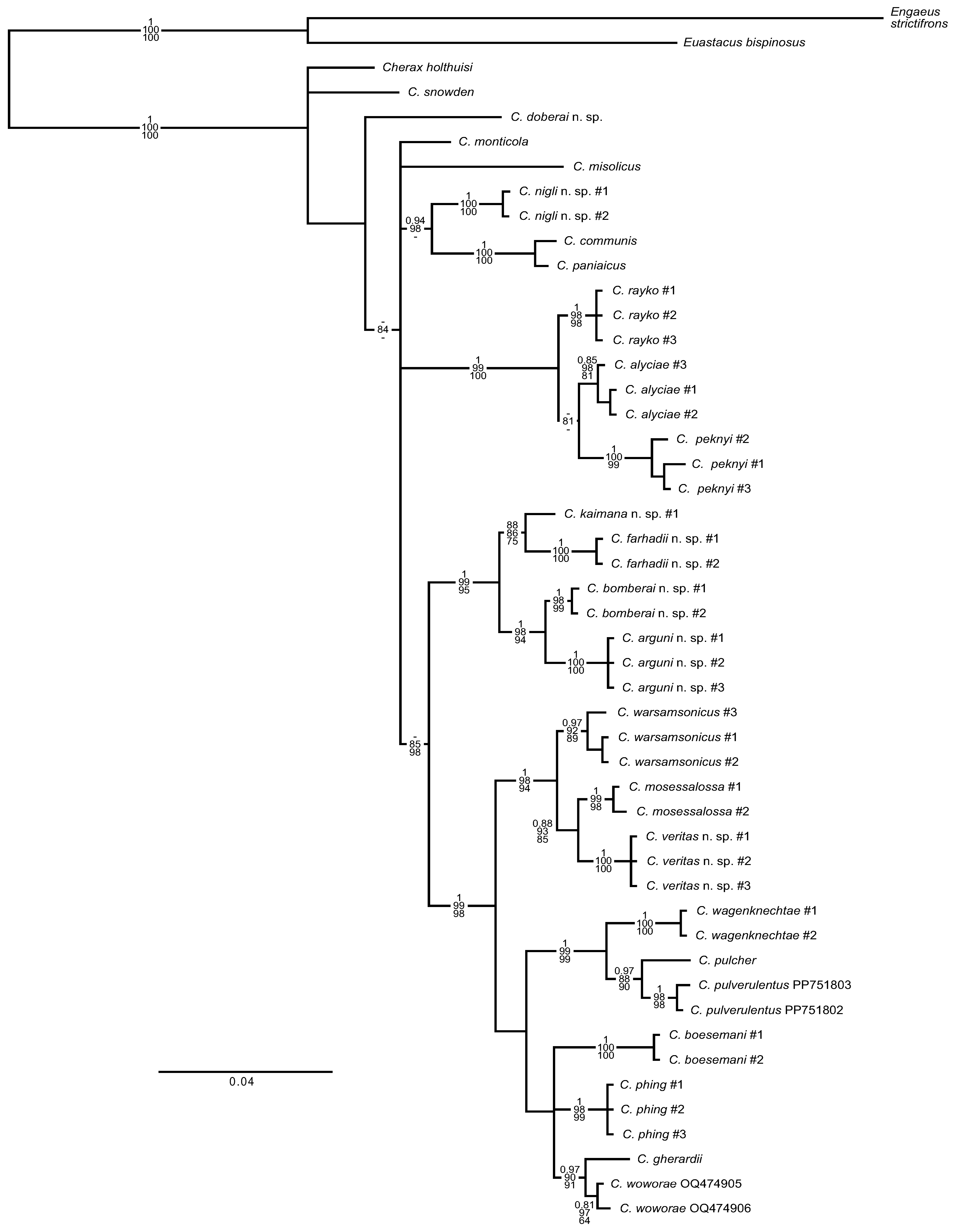 Arthropoda 03 00010 g005