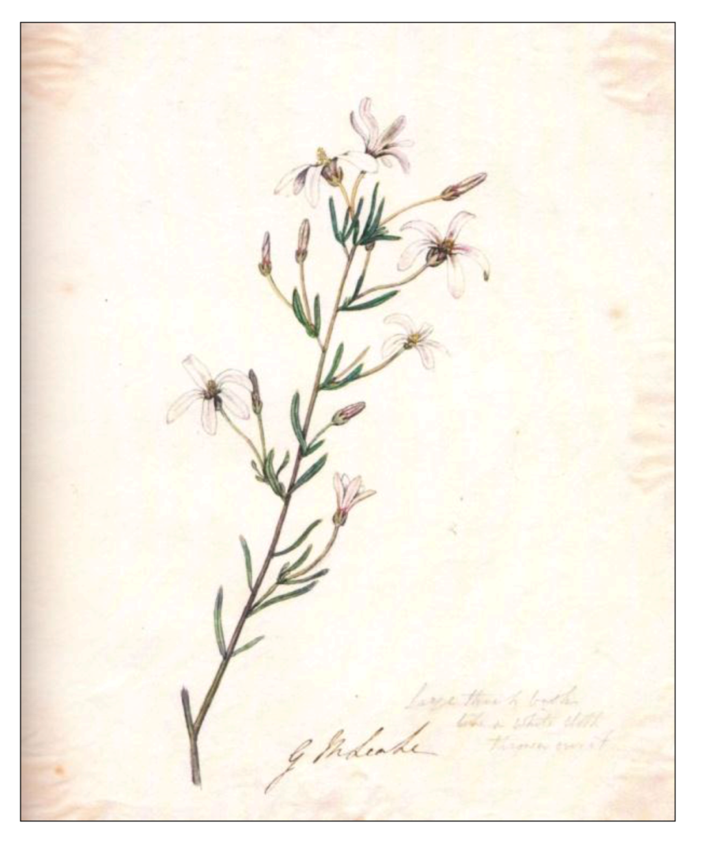 Arts 01 00013 g002 1024