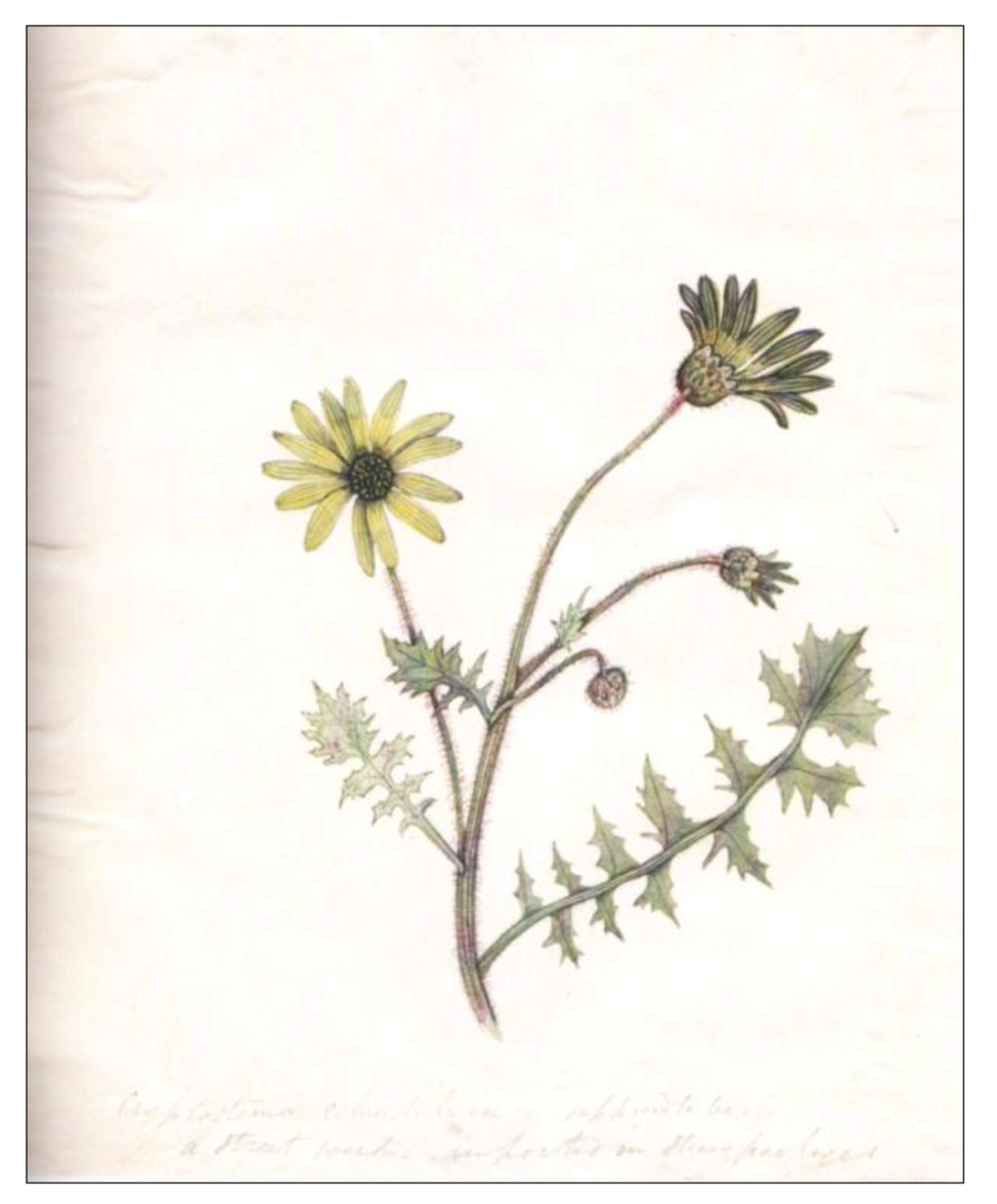 Arts 01 00013 g003 1024