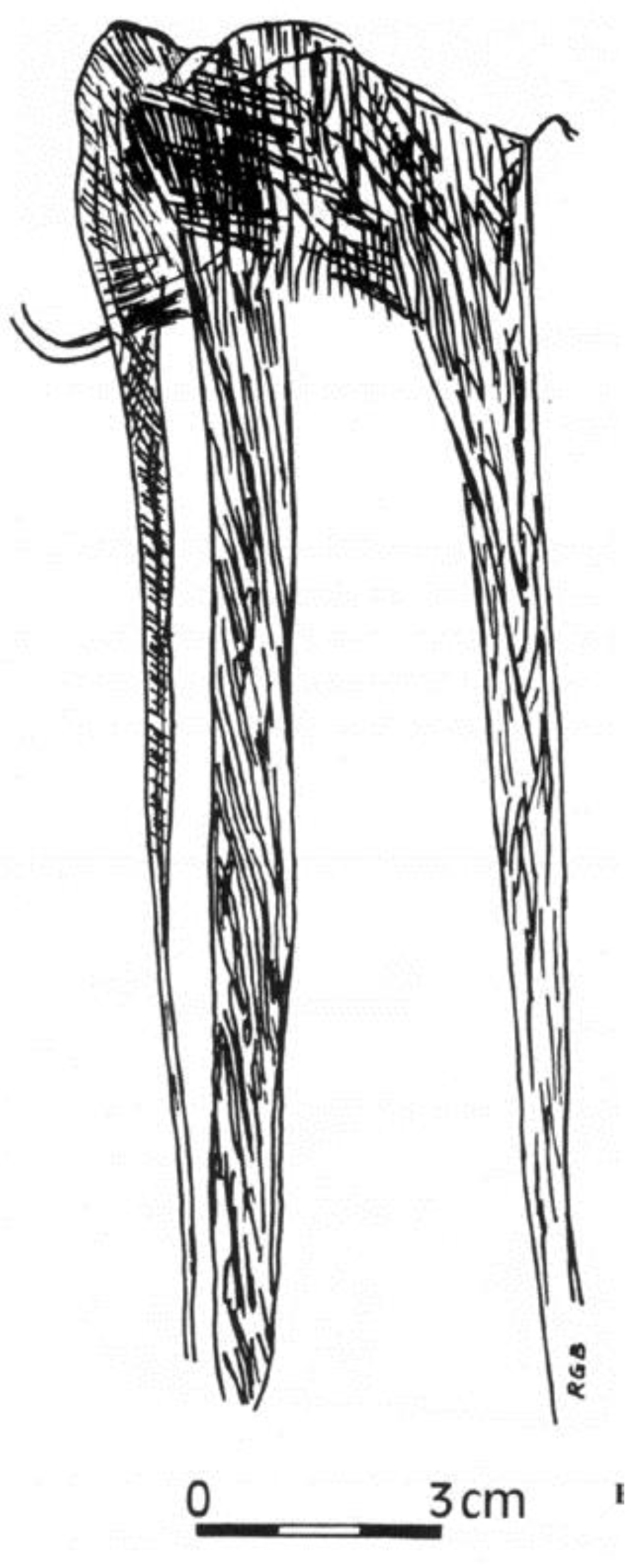 Arts 02 00046 g008 1024