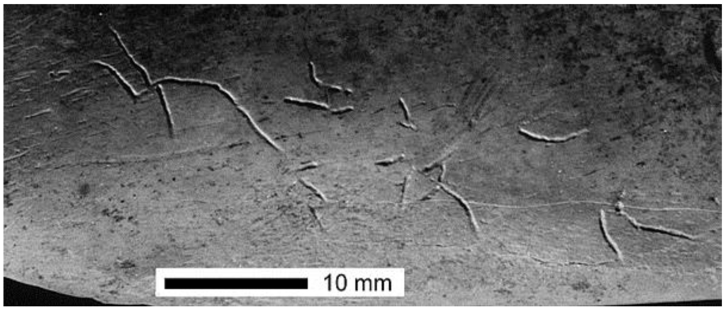 Arts 02 00046 g012 1024