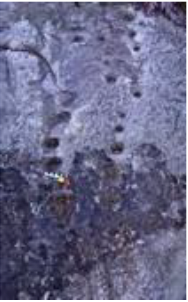 Arts 02 00182 g007 1024