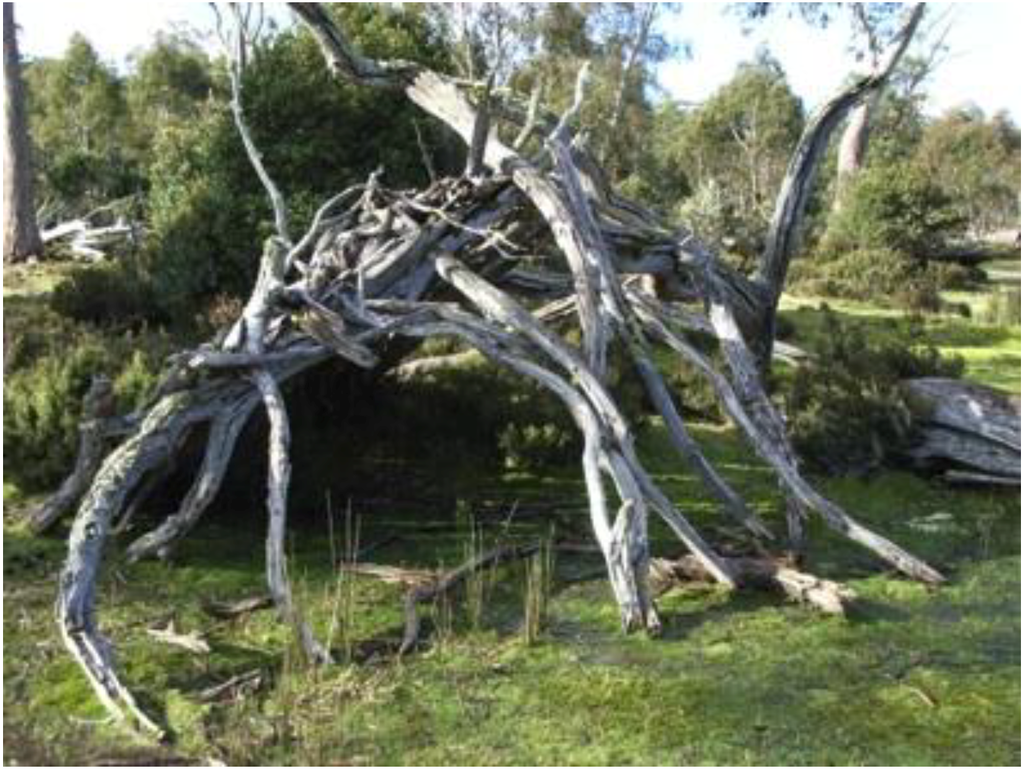 Arts 02 00182 g009 1024