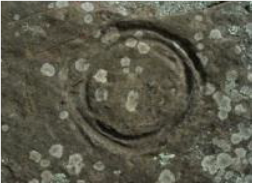 Arts 02 00182 g016 1024