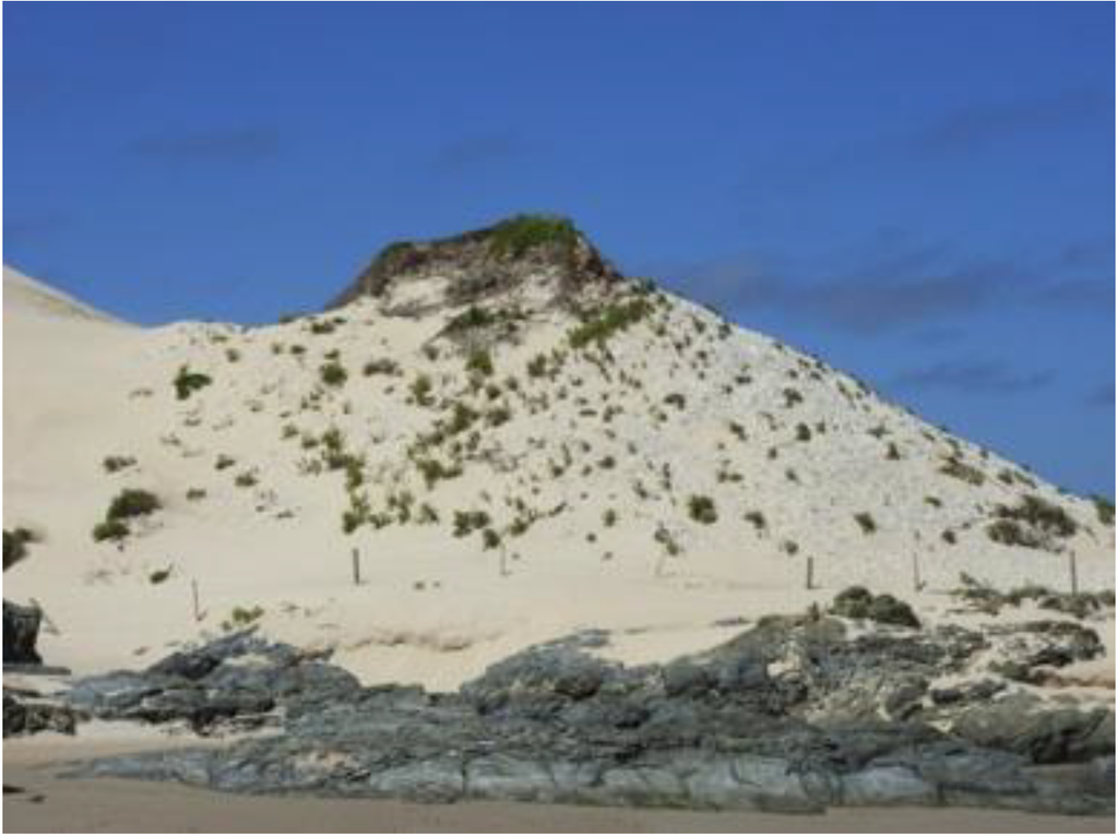 Arts 02 00182 g039 1024